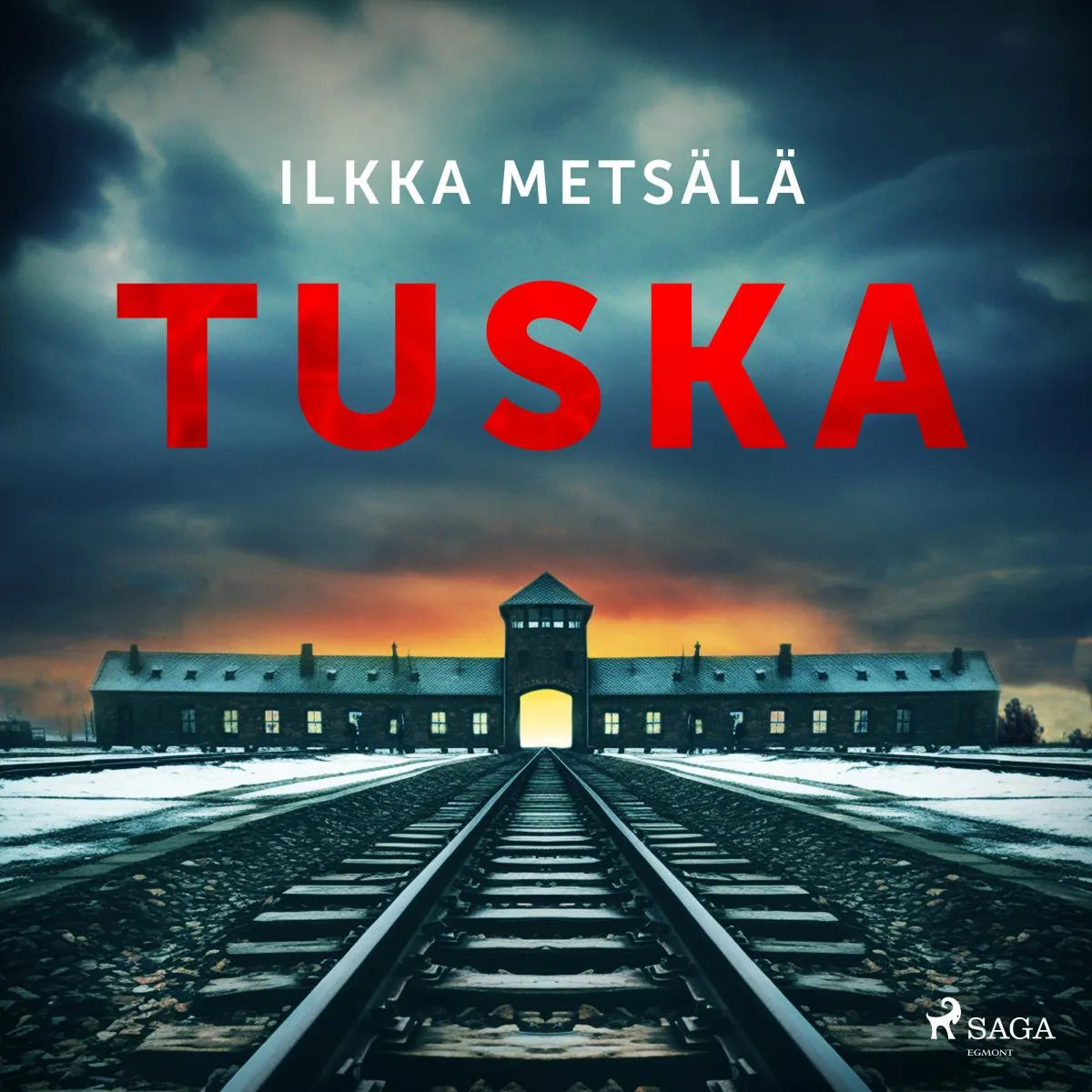 Cover: Tuska (Hörbuch Download) von Ilkka Metsälä