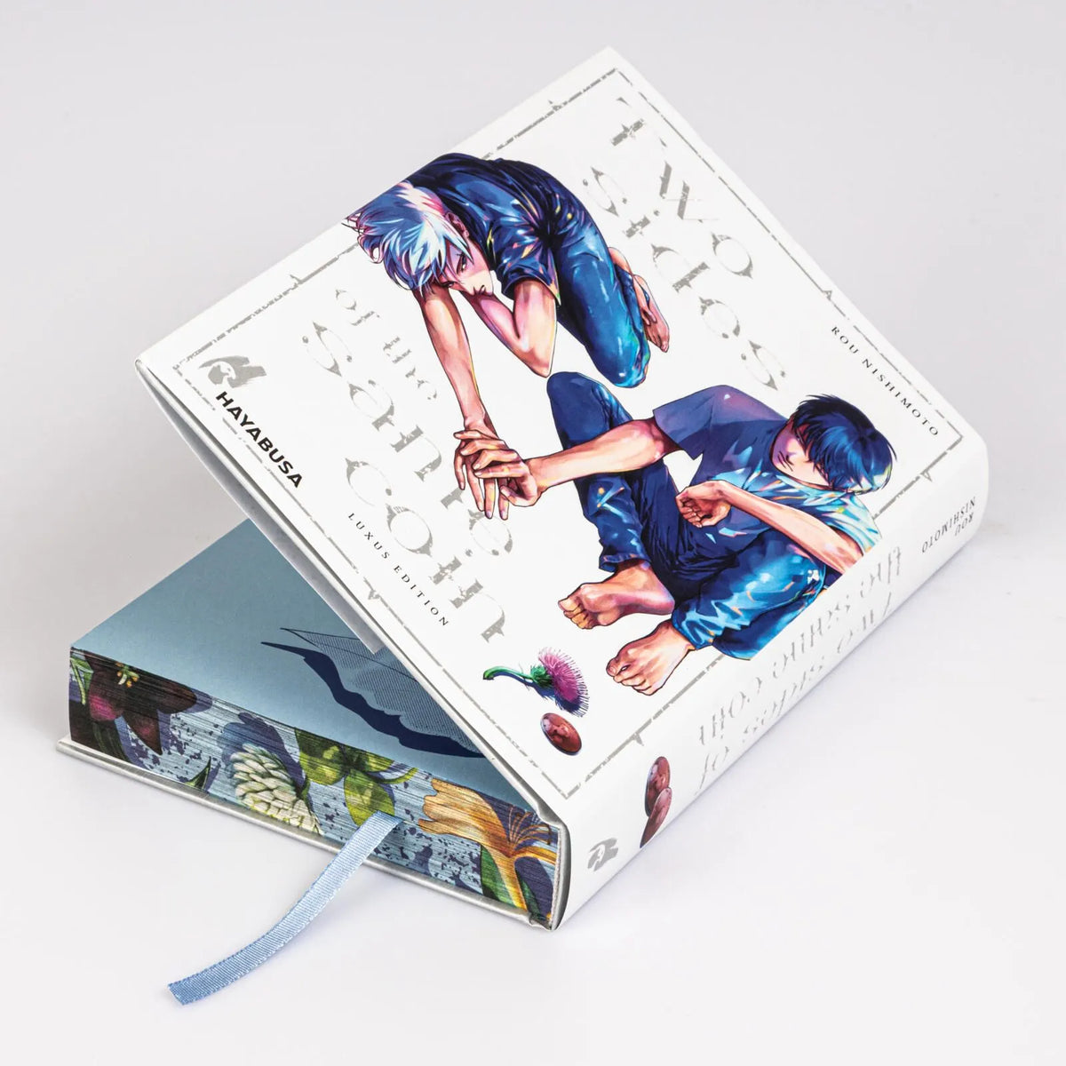 Detailansicht: Two Sides of the Same Coin Doppelband Luxus Edition (Hardcover)