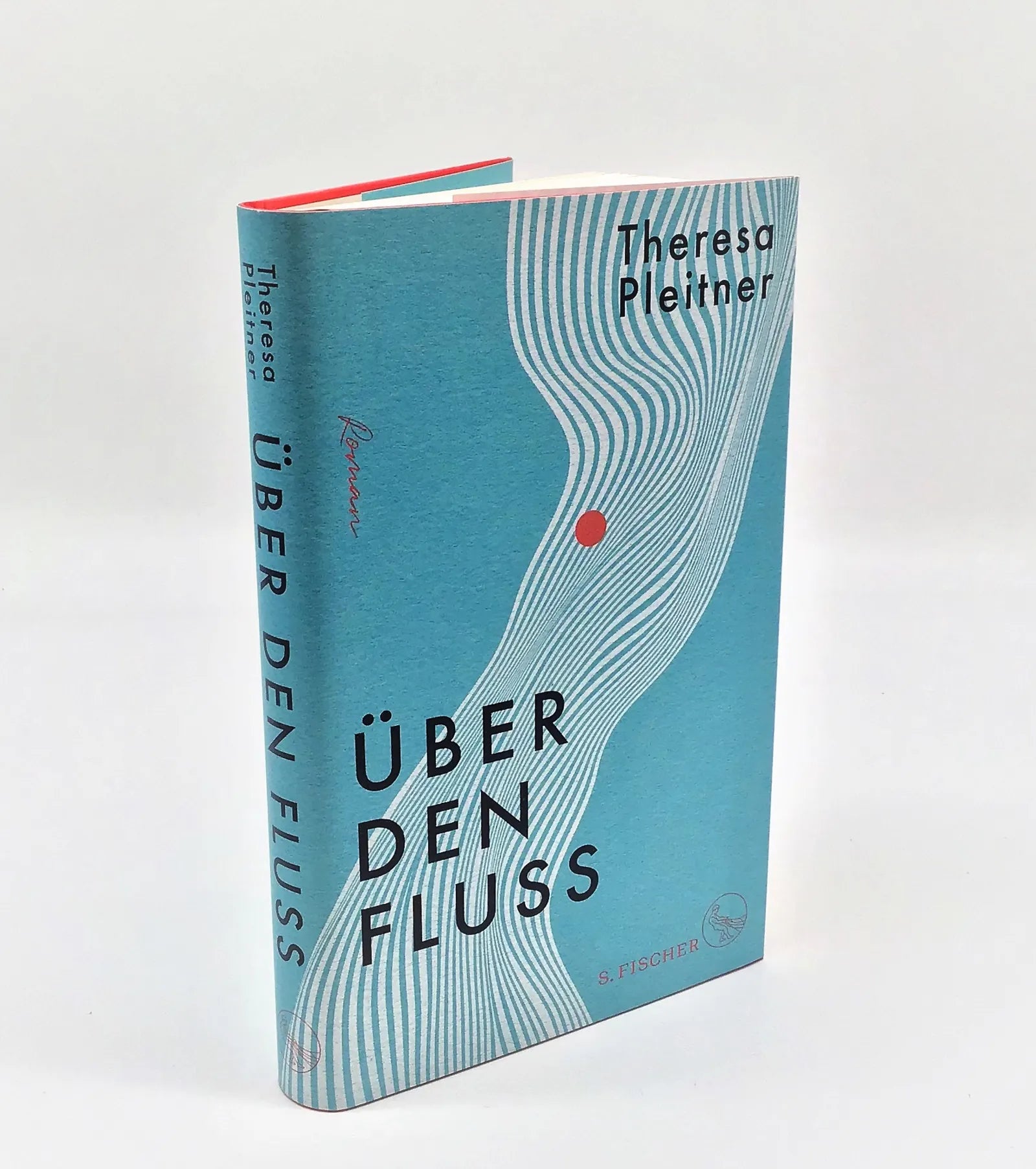 Theresa Pleitner - Über den Fluss