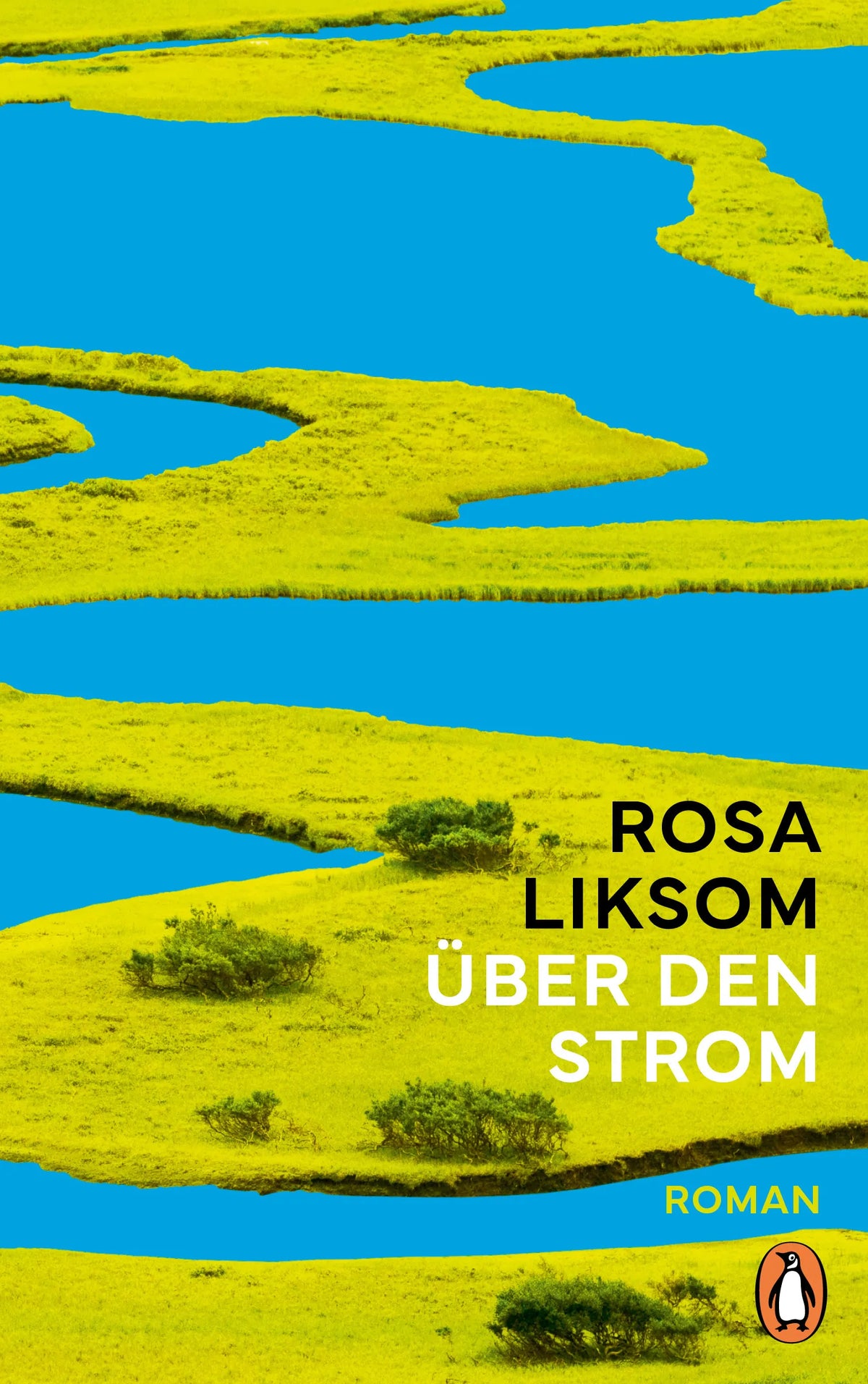 Cover: Über den Strom (E-Book) von Rosa Liksom