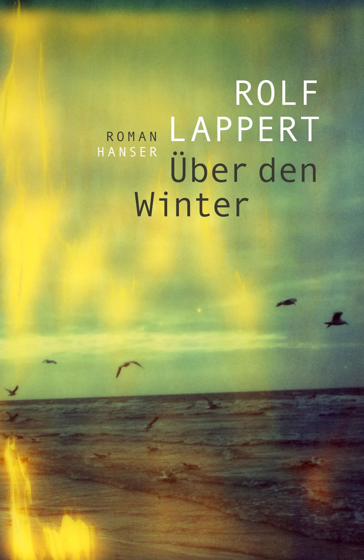 Buchcover von 'Über den Winter' - Gebundene Ausgabe von Rolf Lappert