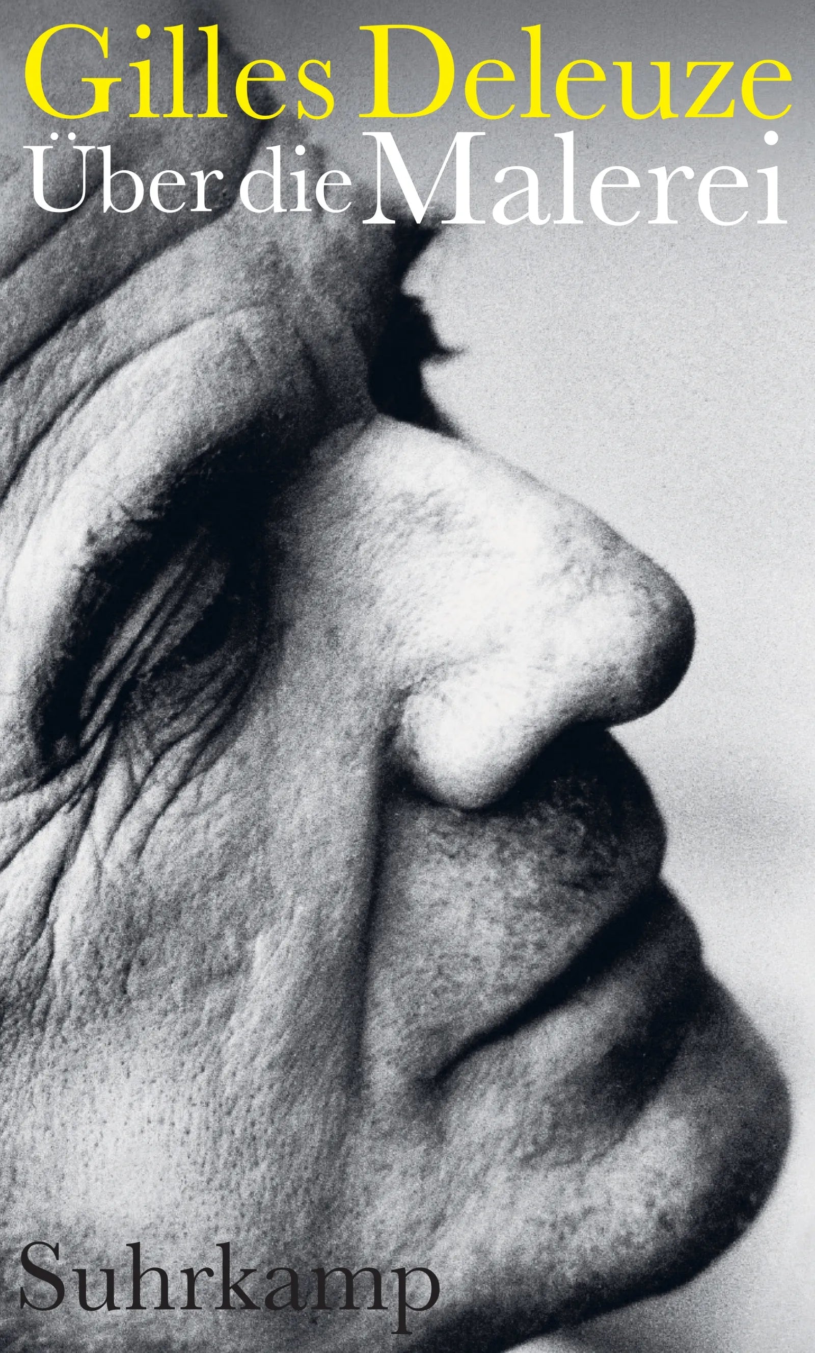 Cover: Über die Malerei (E-Book) von Gilles Deleuze