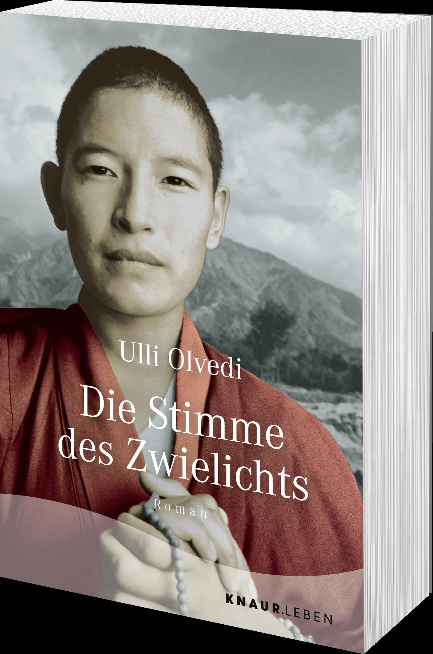 Produktansicht: Die Stimme des Zwielichts (Taschenbuch)
