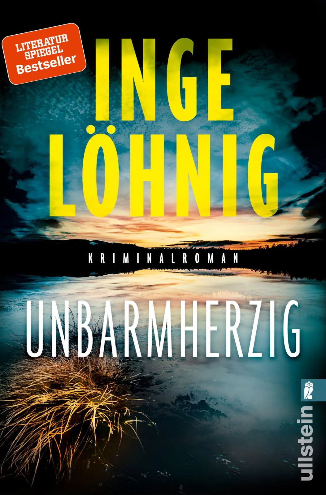 Buchcover von 'Unbarmherzig' - Taschenbuch von Inge Löhnig