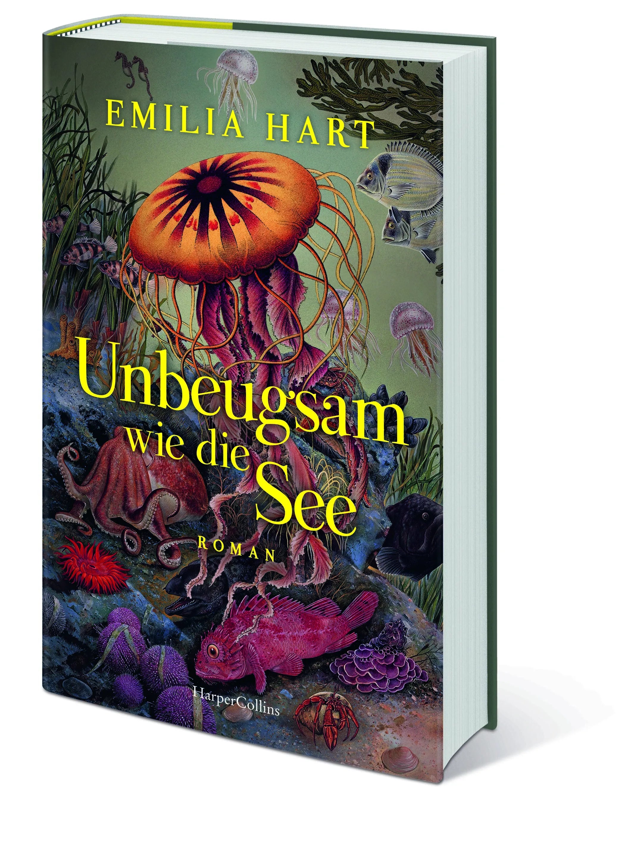 Detailansicht: Unbeugsam wie die See (Hardcover)