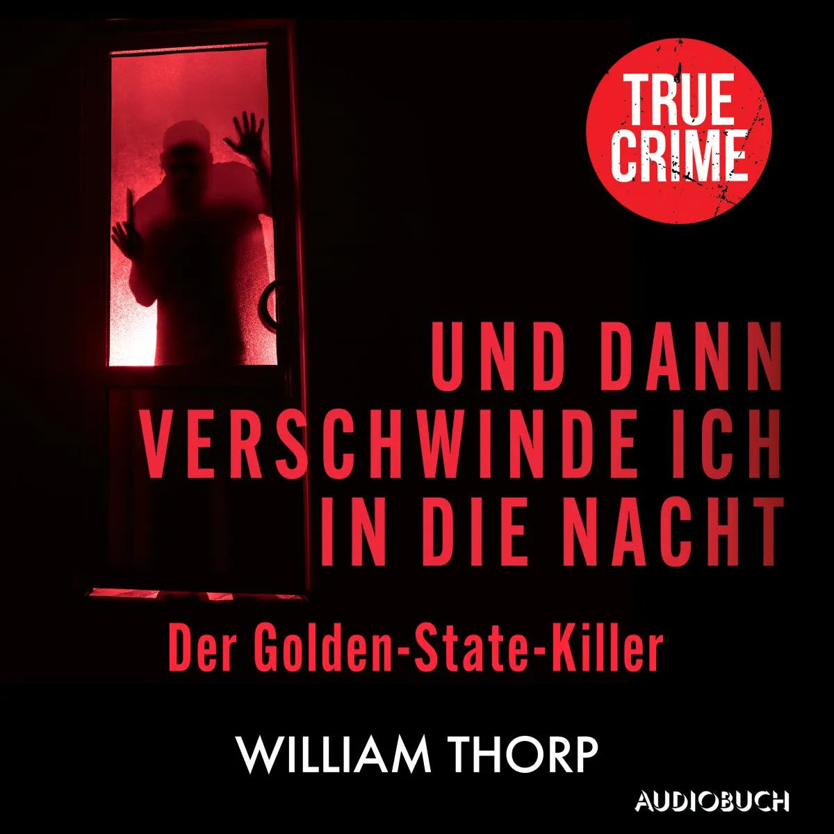 Cover: Und dann verschwinde ich in die Nacht (Hörbuch Download) von William Thorp