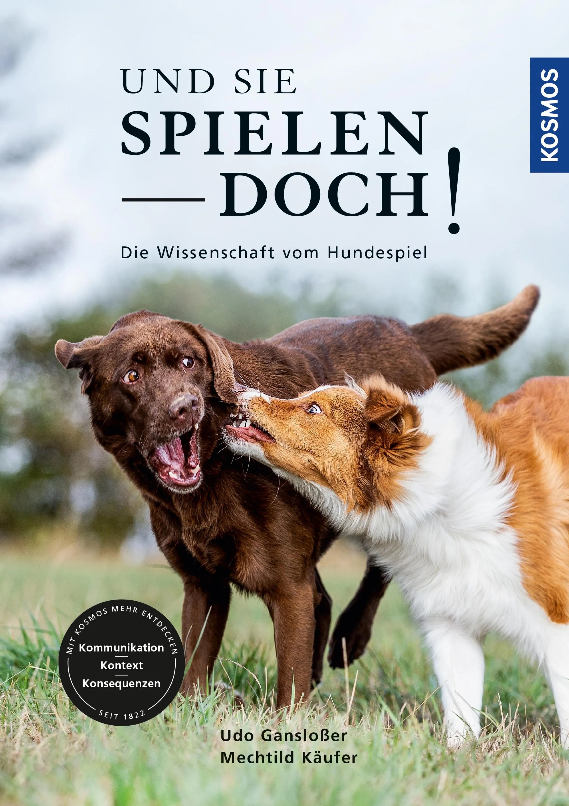 Cover: Und sie spielen doch! (E-Book) von Udo Gansloßer