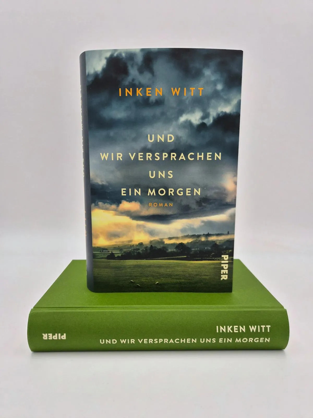 Detailansicht: Und wir versprachen uns ein Morgen (Hardcover)