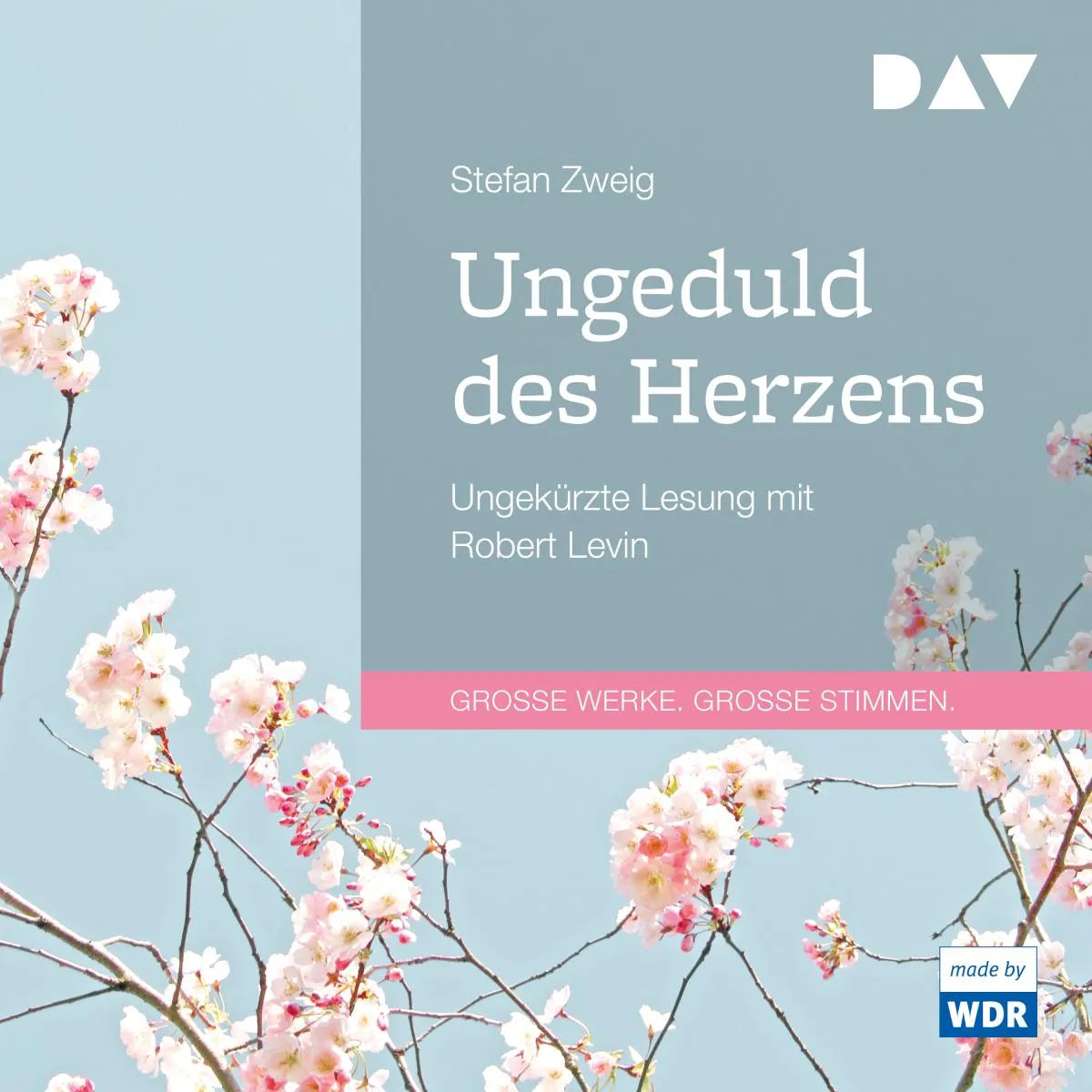 Cover: Ungeduld des Herzens (Hörbuch Download) von Stefan Zweig