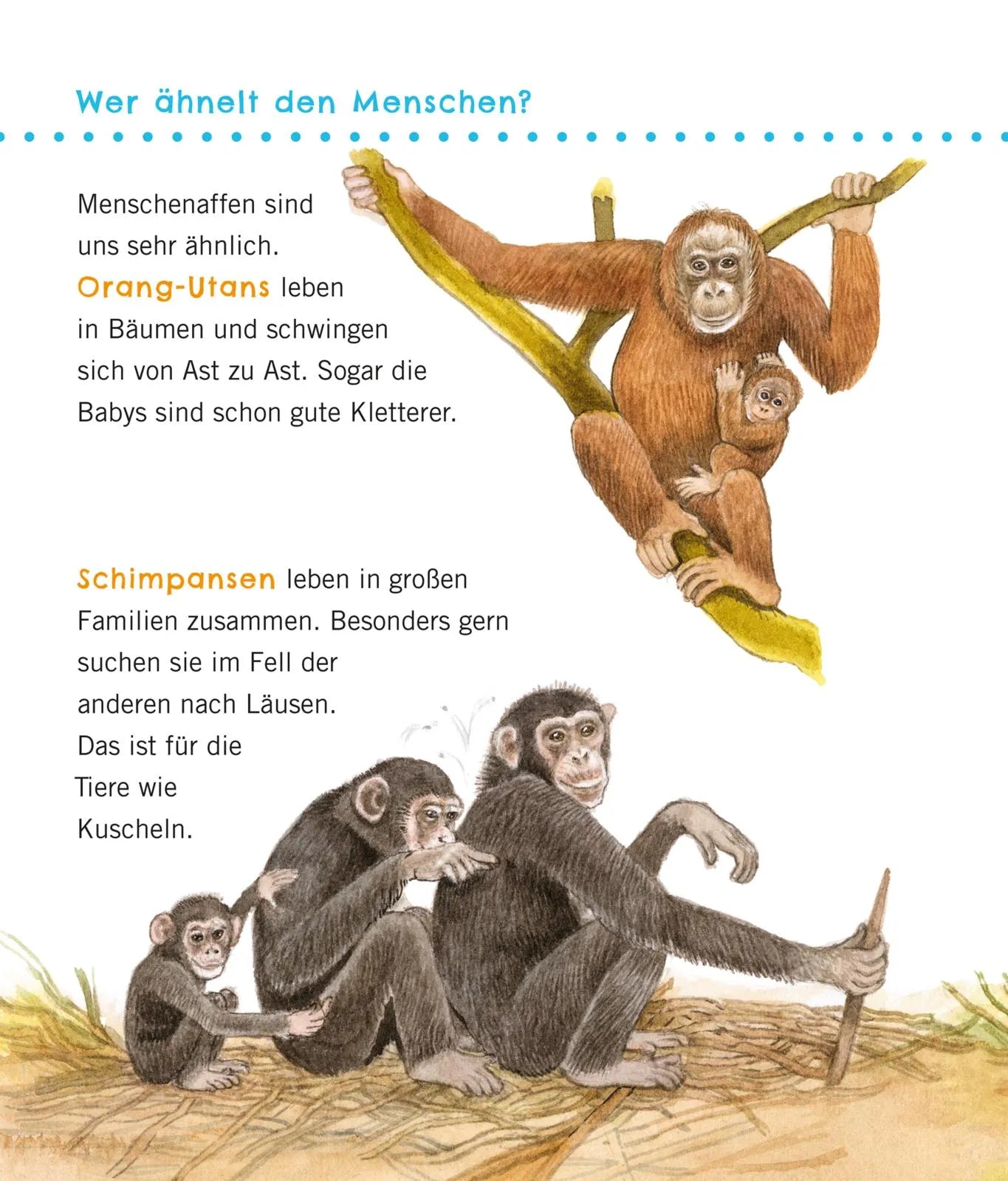 Produktansicht: Unkaputtbar: Erstes Wissen: Große Tiere (Taschenbuch)