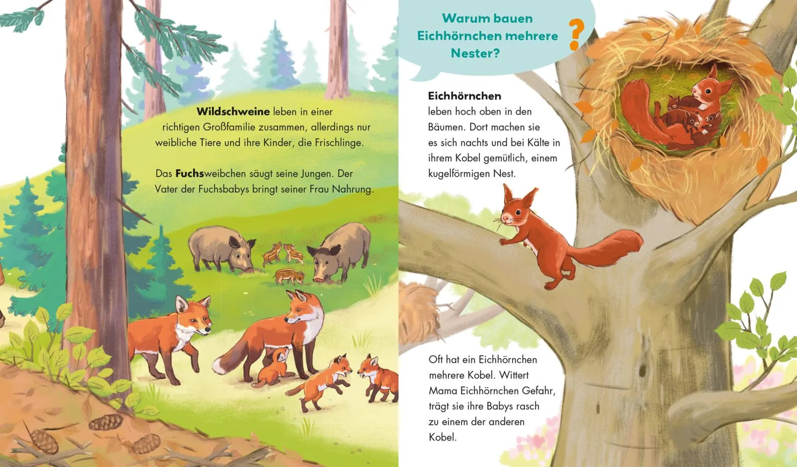 Abbildung von 'Unkaputtbar: Frag doch mal die Maus: Tiere und ihre Familien'