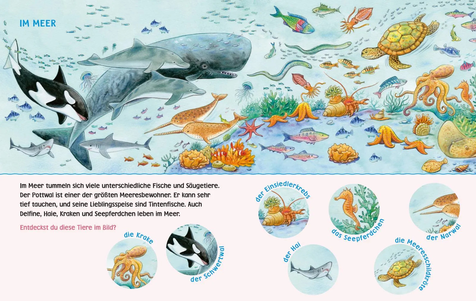 Produktansicht: Unkaputtbar: Mein erstes Wimmelbuch: Unsere Tiere (Taschenbuch)