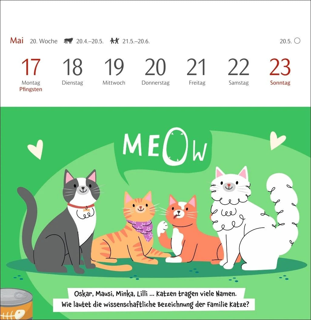 Unnützes-Wissen-Quiz Katzen Premium-Postkartenkalender 2027 - Kalender mit 53 Rätselkarten – Ansicht