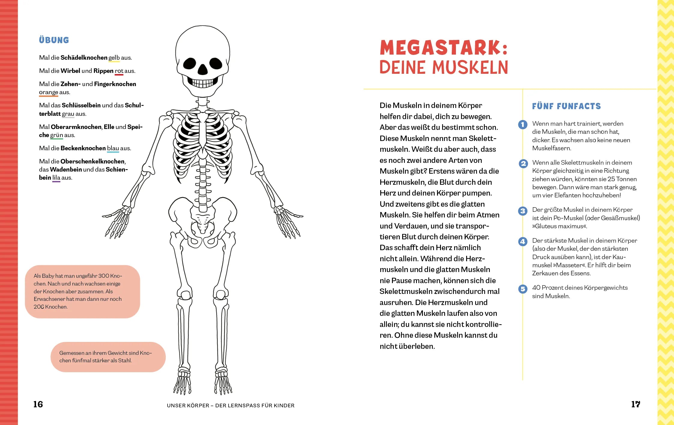 Innenansicht von 'Unser Körper' - Taschenbuch