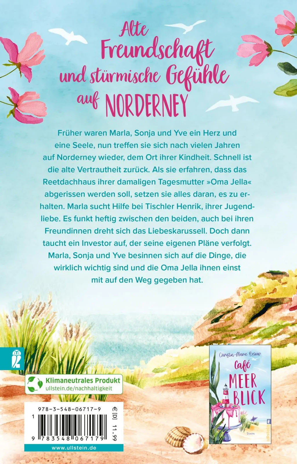 Buchrückseite von 'Unser Reetdachhaus am Strand' mit Klappentext - Taschenbuch