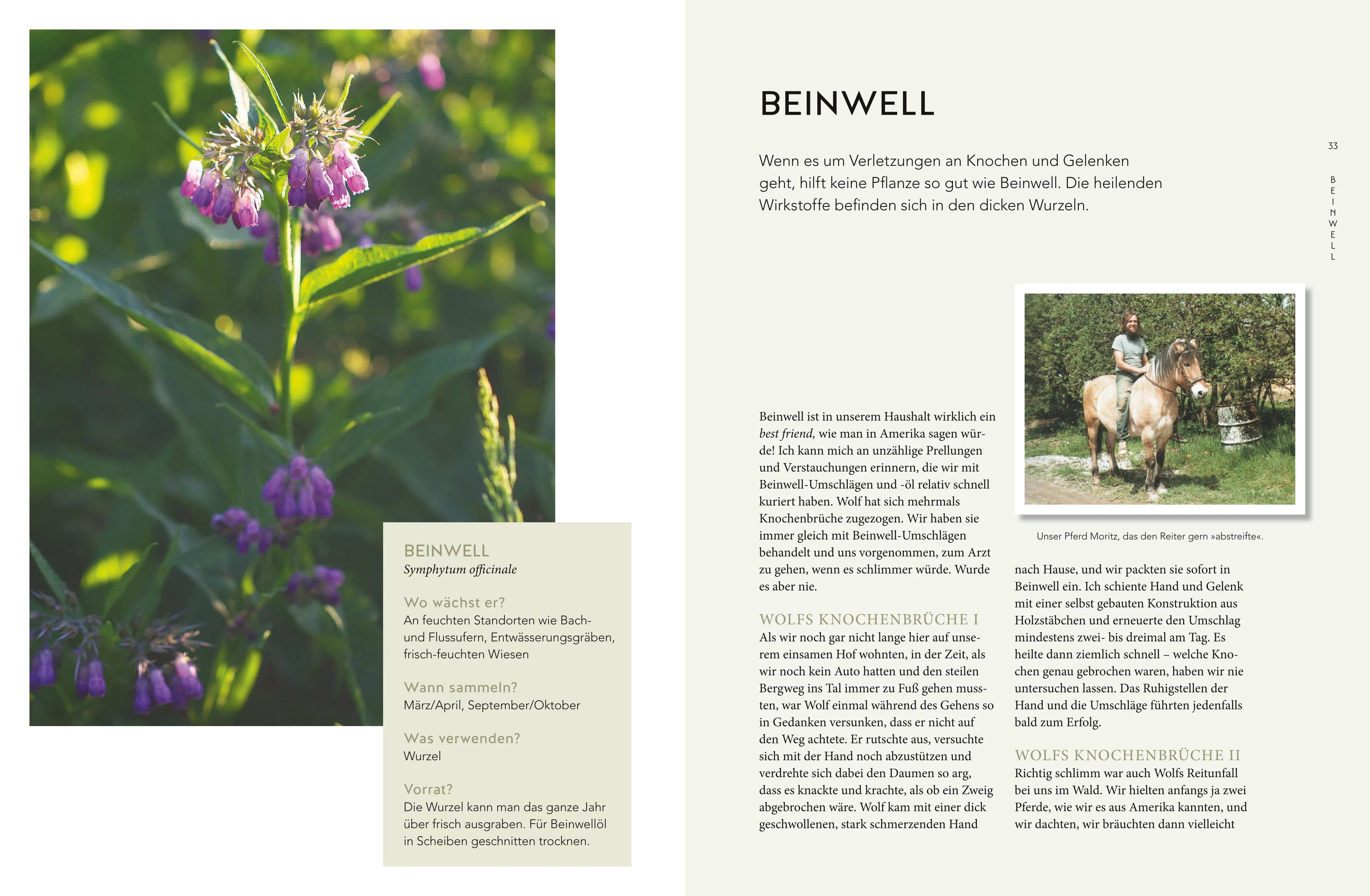 Produktansicht: Unsere grüne Kraft - das Heilwissen der Familie Storl (Gebundene Ausgabe)
