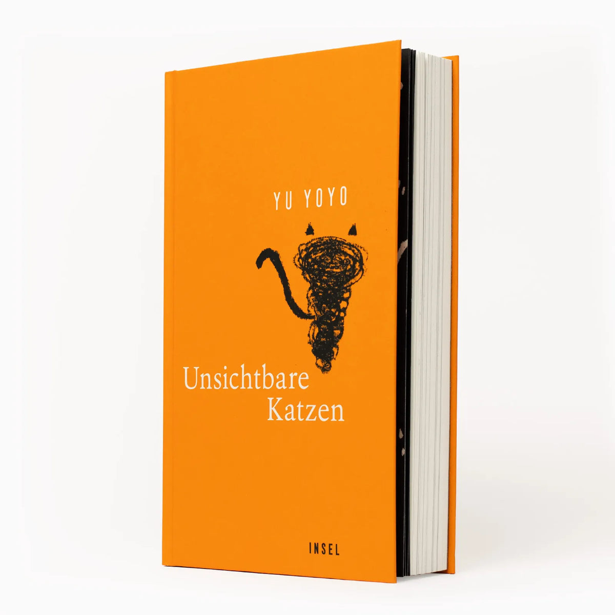 Produktansicht: Unsichtbare Katzen (Gebundene Ausgabe)