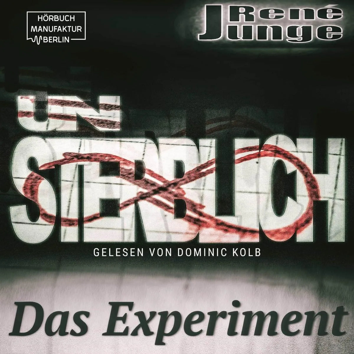Cover: Unsterblich - Das Experiment (Hörbuch Download) von René Junge