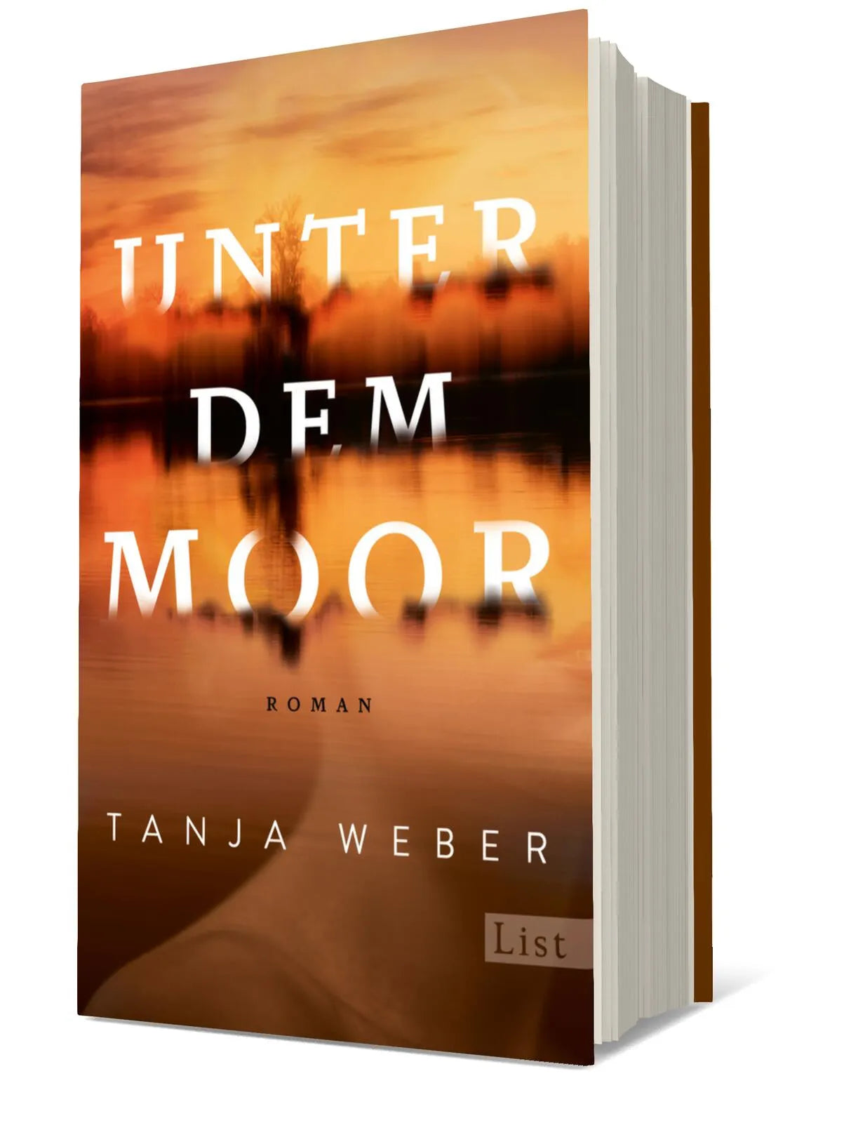 Buchcover von 'Unter dem Moor' - Gebundene Ausgabe von Tanja Weber