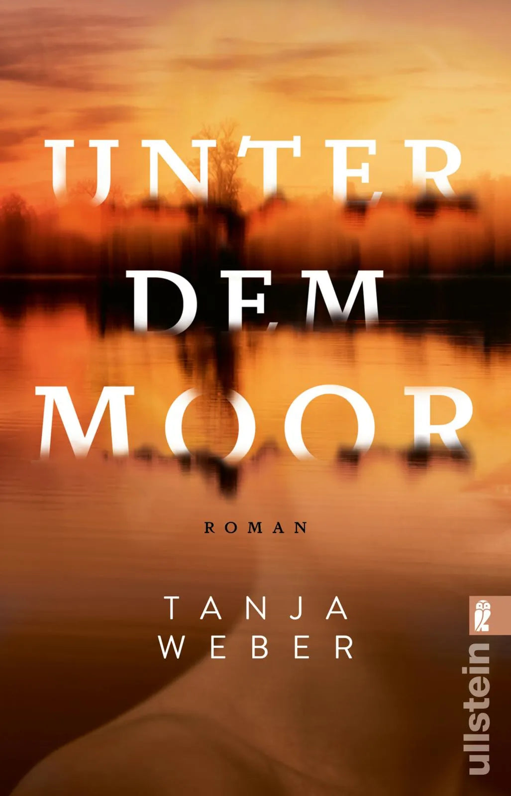 Buchcover von 'Unter dem Moor' - Taschenbuch von Tanja Weber