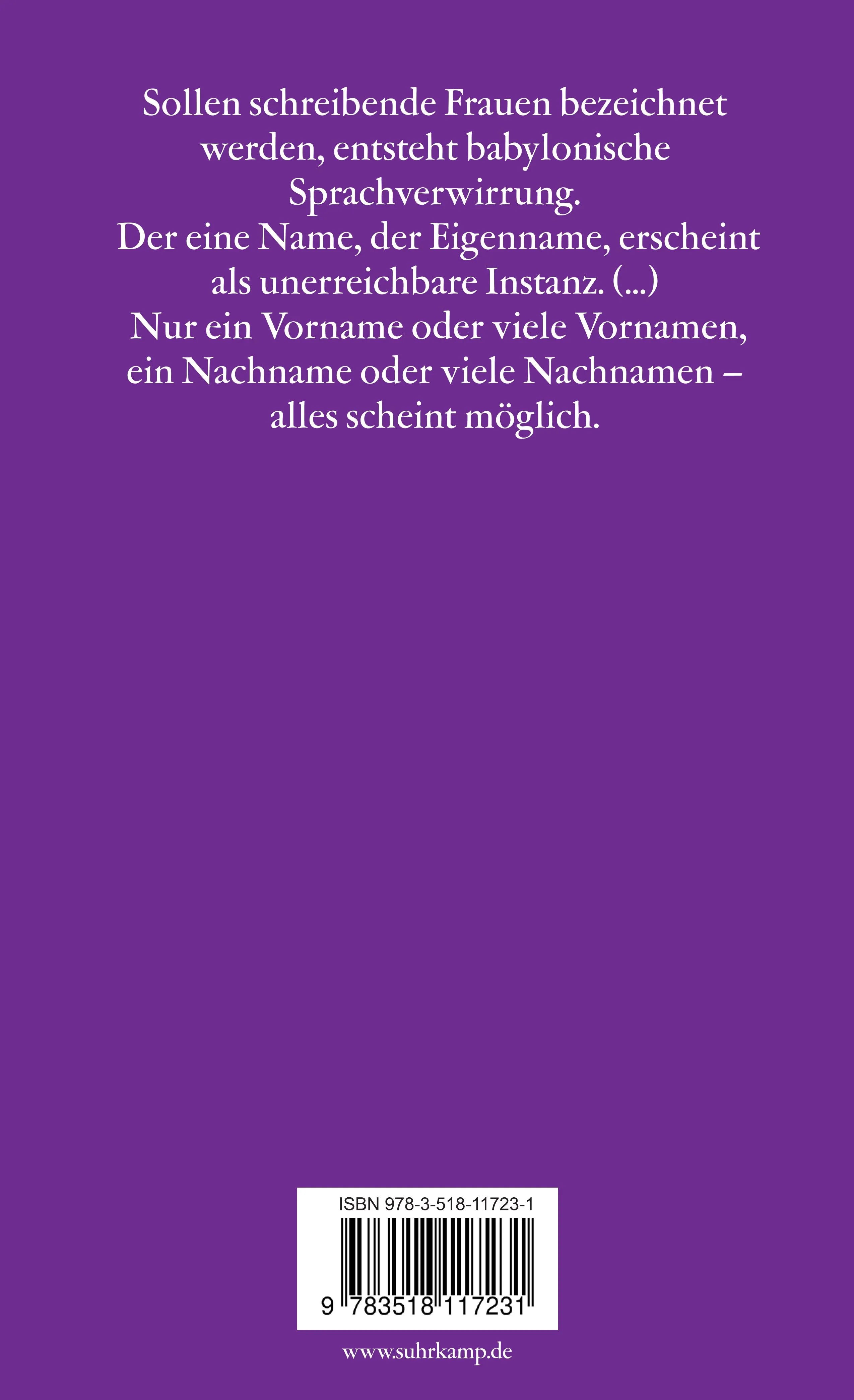 Buchrückseite von 'Unter falschem Namen' mit Klappentext - Taschenbuch