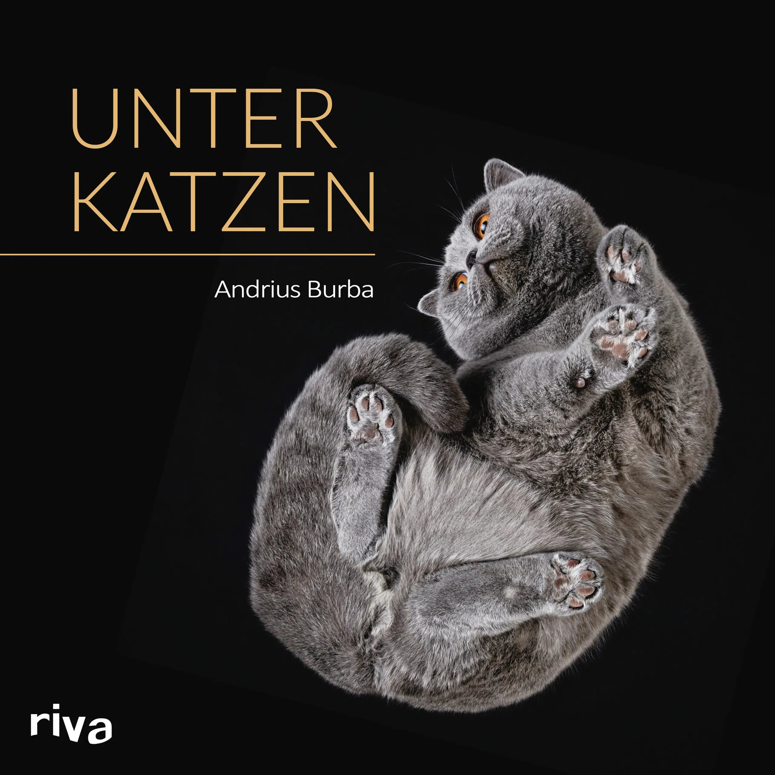 Buchcover von 'Unter Katzen' - Gebundene Ausgabe von Andrius Burba