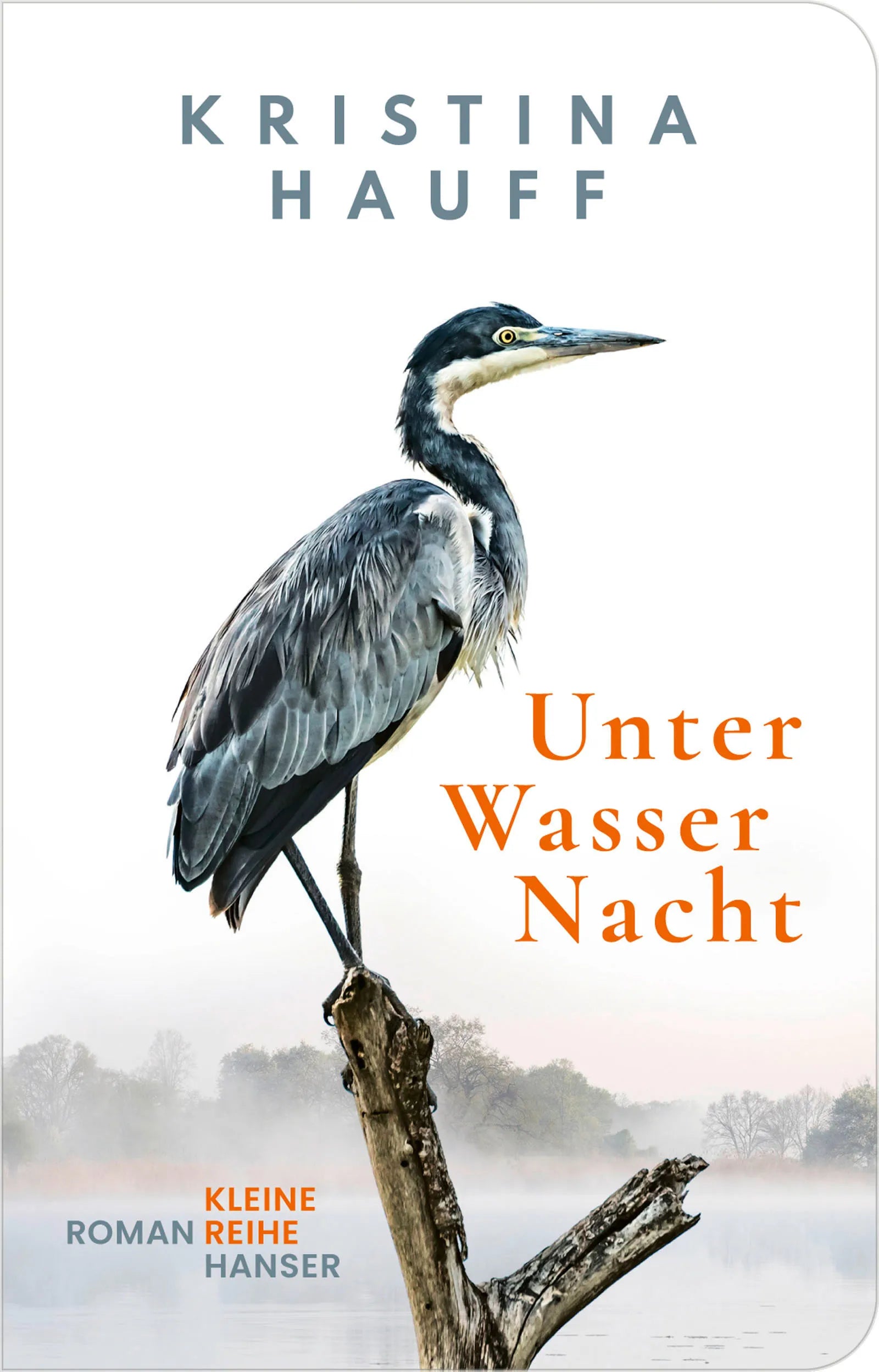 Buchcover von 'Unter Wasser Nacht' - Gebundene Ausgabe von Kristina Hauff