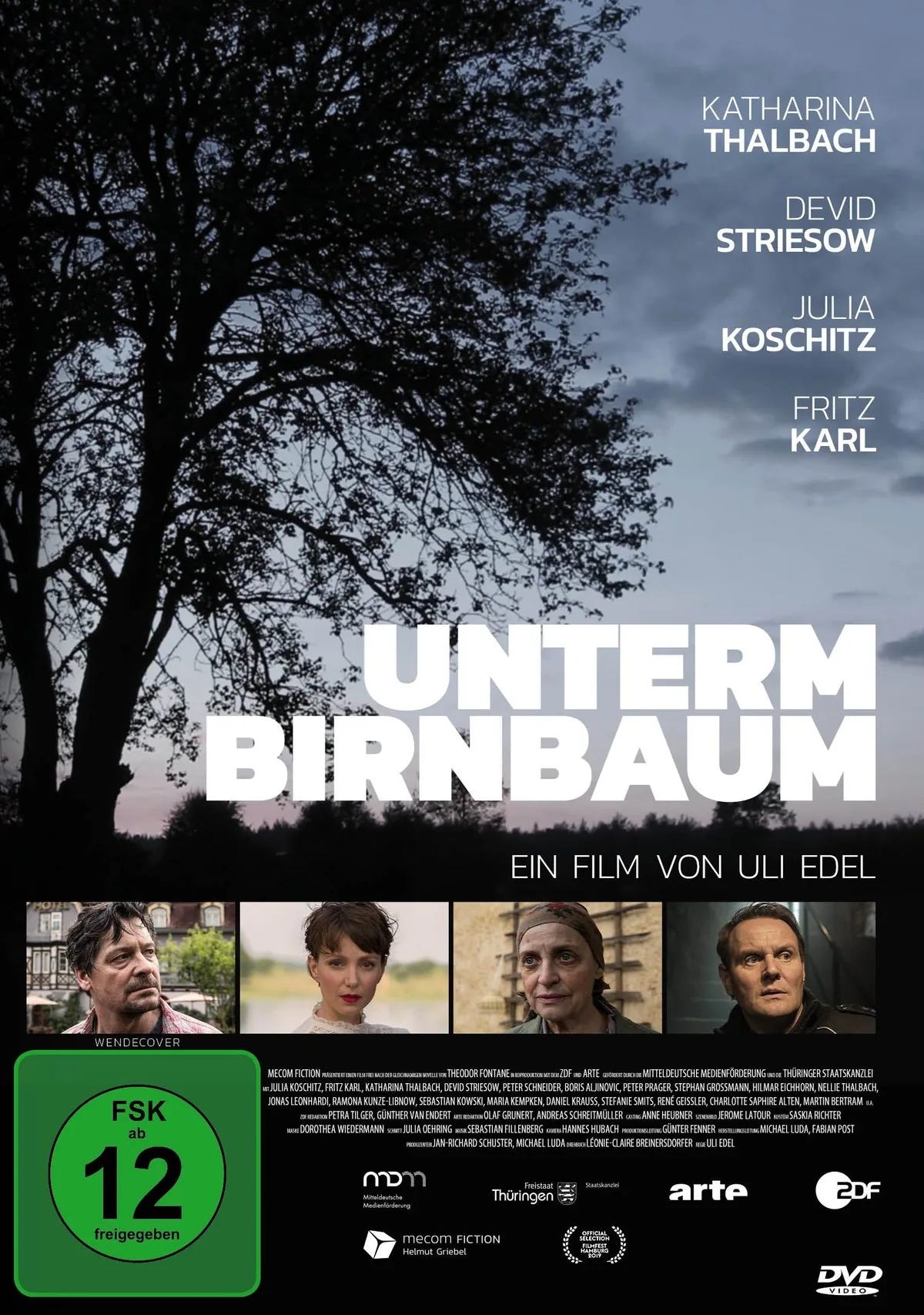 Unterm Birnbaum - DVD