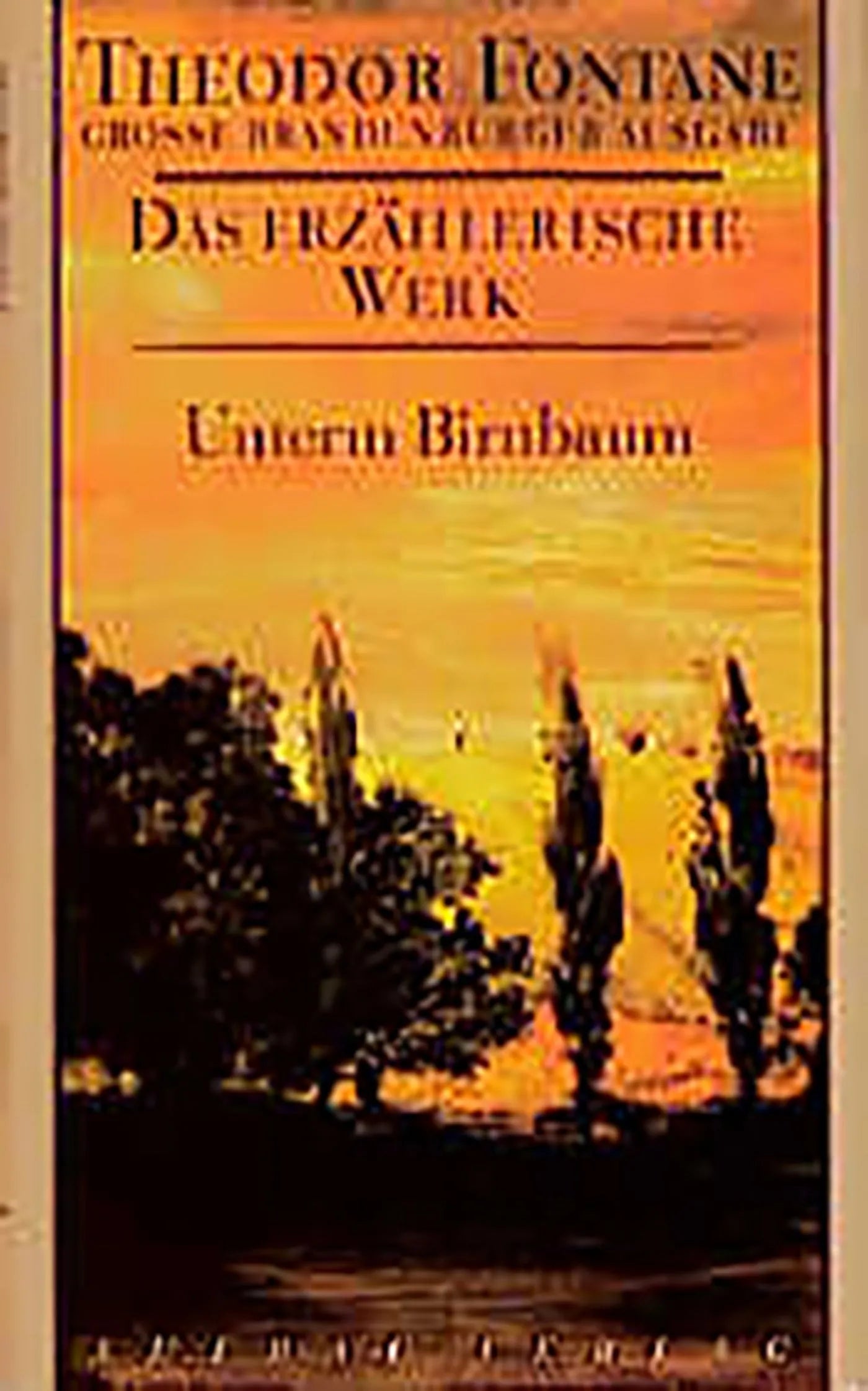 Buchcover von 'Unterm Birnbaum' - Gebundene Ausgabe von Theodor Fontane