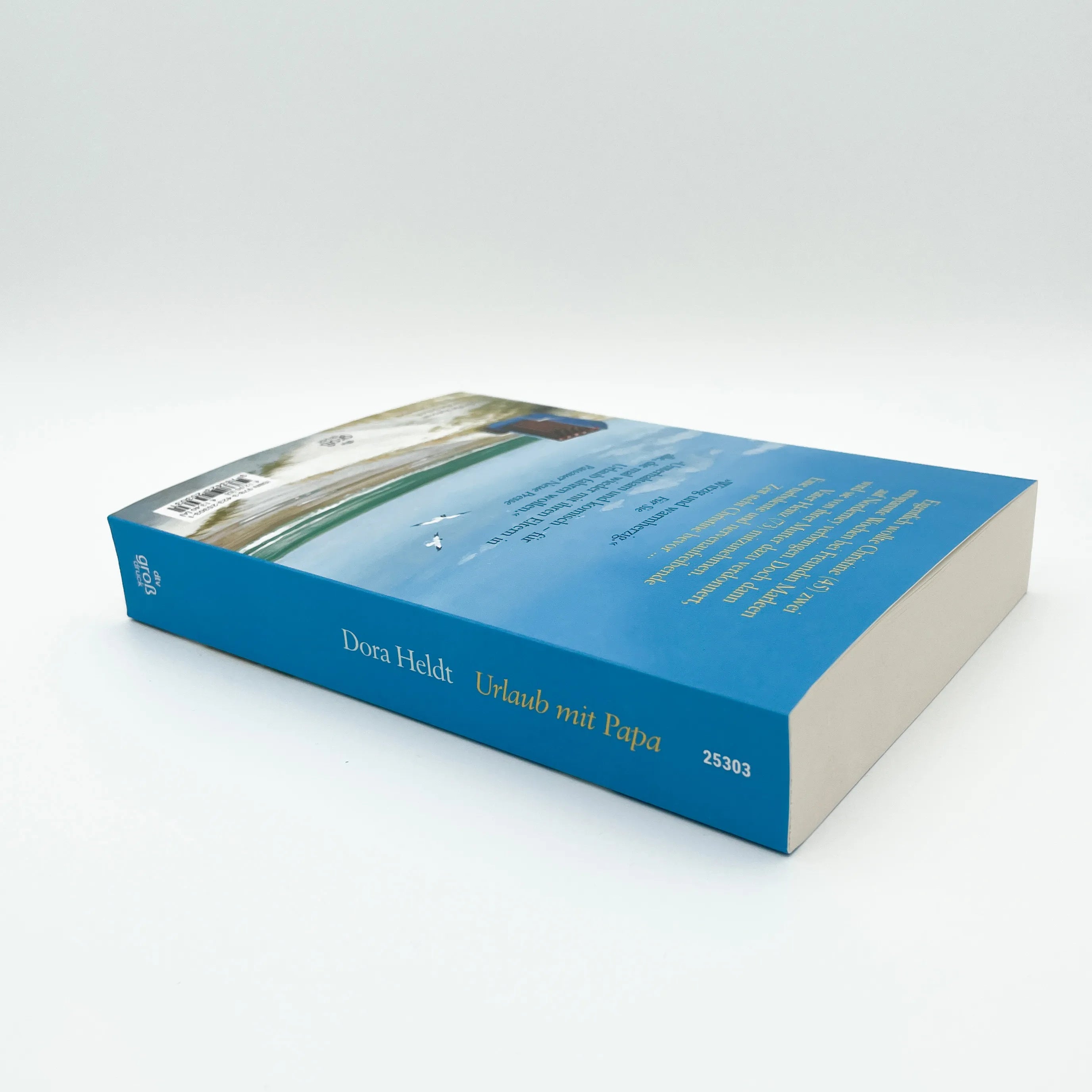 Produktansicht: Urlaub mit Papa (Taschenbuch)