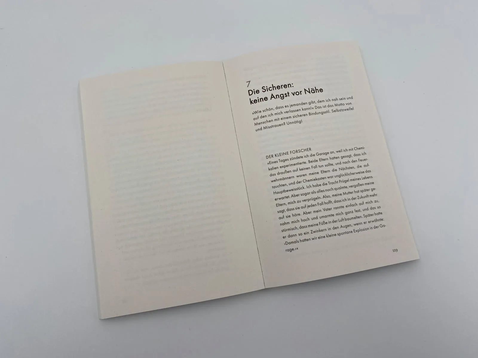 Produktansicht: Der Bindungseffekt (Taschenbuch)