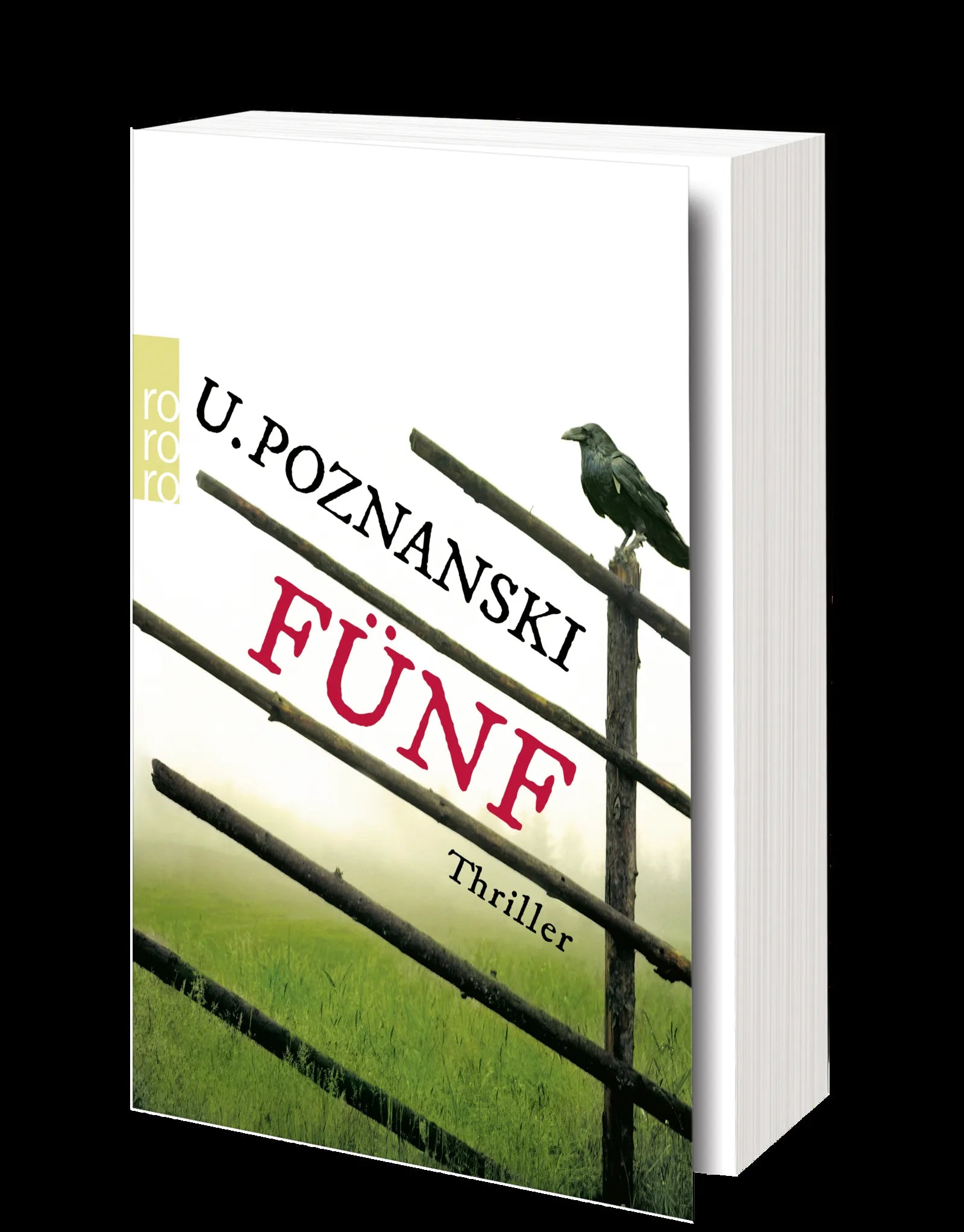 Produktansicht: Fünf (Taschenbuch)