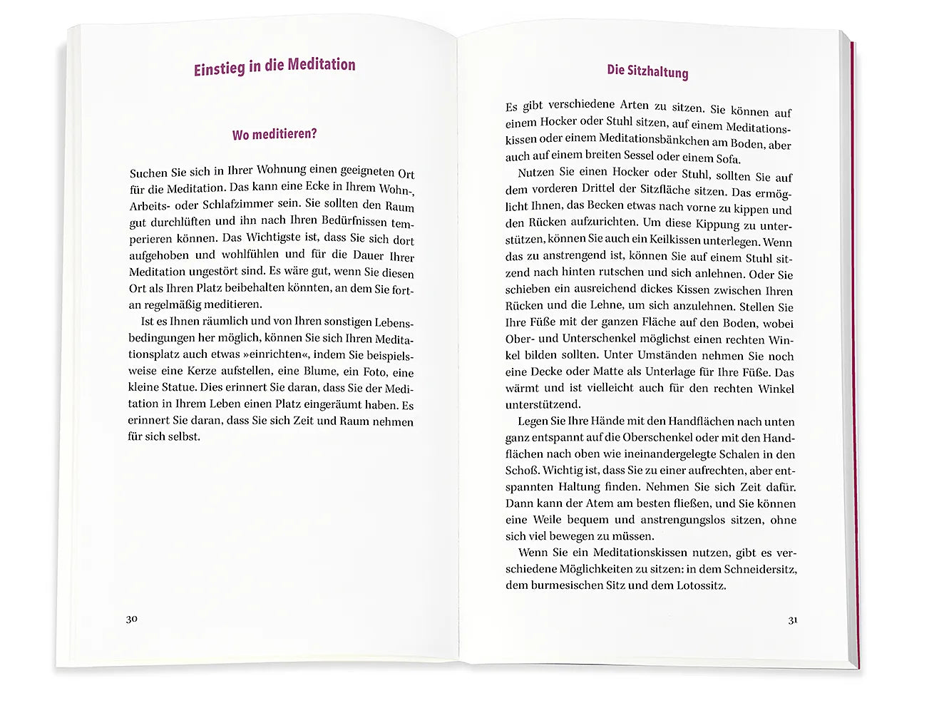 Produktansicht: Immunbooster Meditation (Taschenbuch)