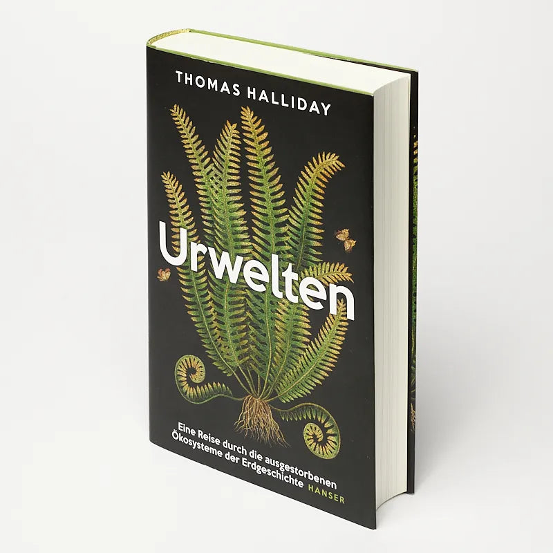 Abbildung von 'Urwelten'