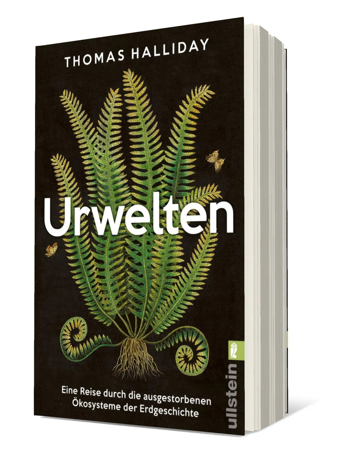 Detailansicht: Urwelten (Paperback)