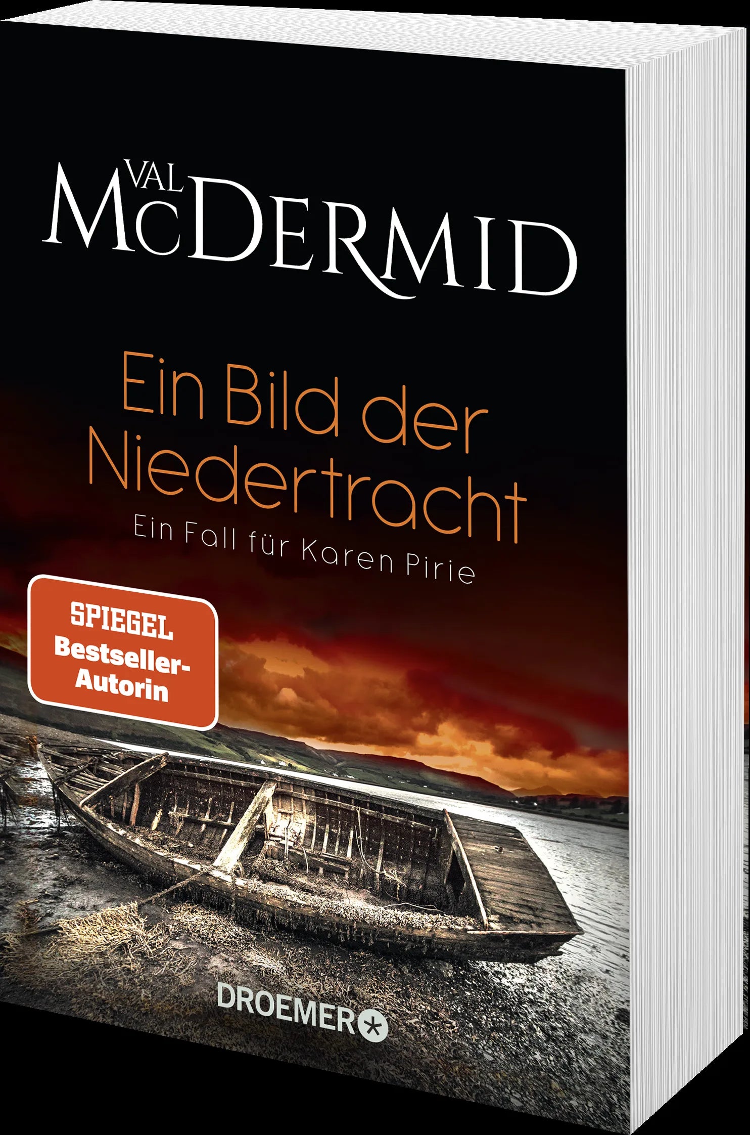 Produktansicht: Ein Bild der Niedertracht (Taschenbuch)