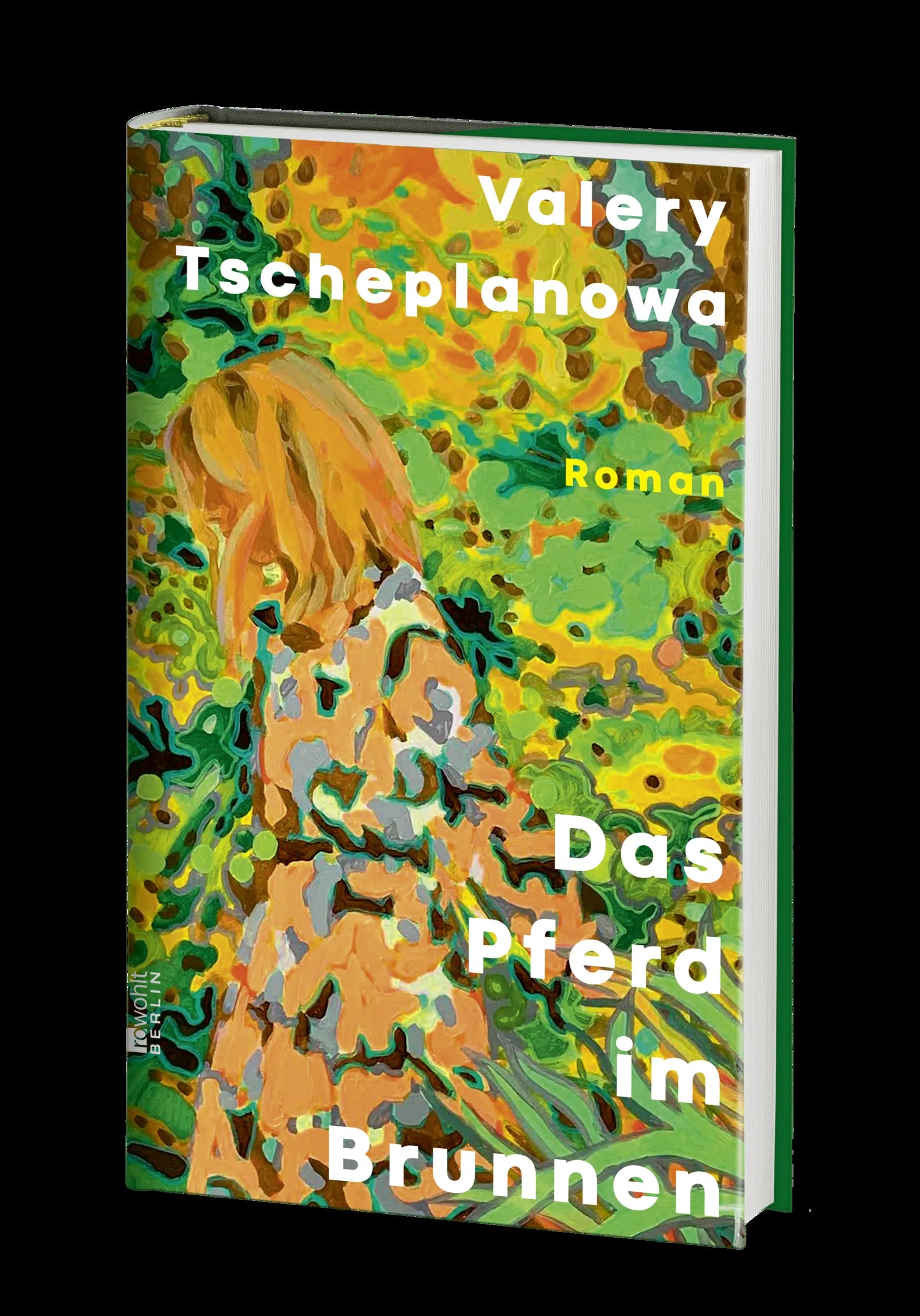 Produktansicht: Das Pferd im Brunnen (Gebundene Ausgabe)