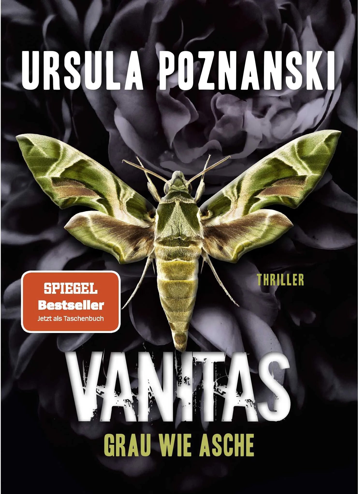 Buchcover von 'VANITAS - Grau wie Asche' - Taschenbuch von Ursula Poznanski