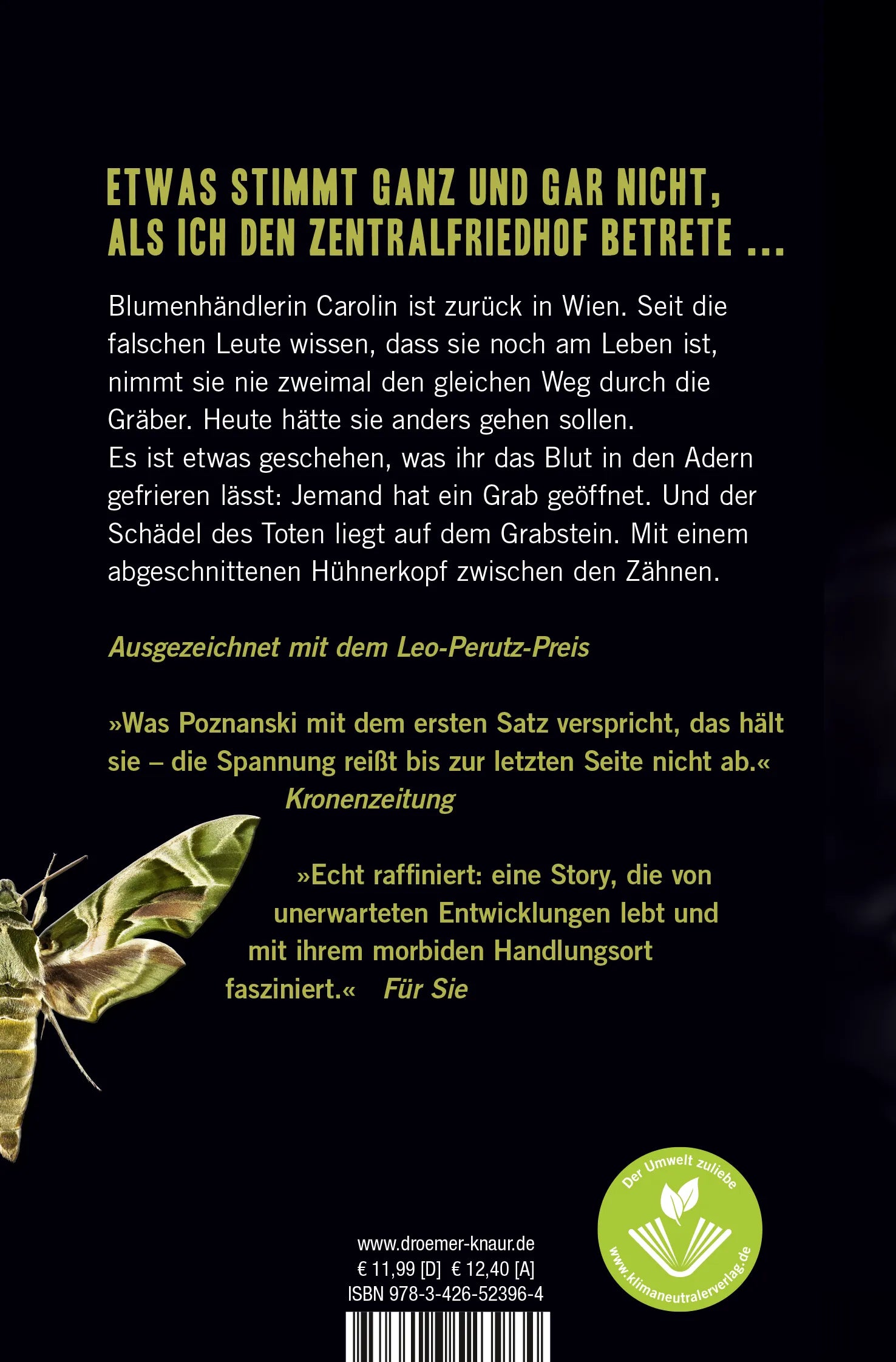 Buchrückseite von 'VANITAS - Grau wie Asche' mit Klappentext - Taschenbuch