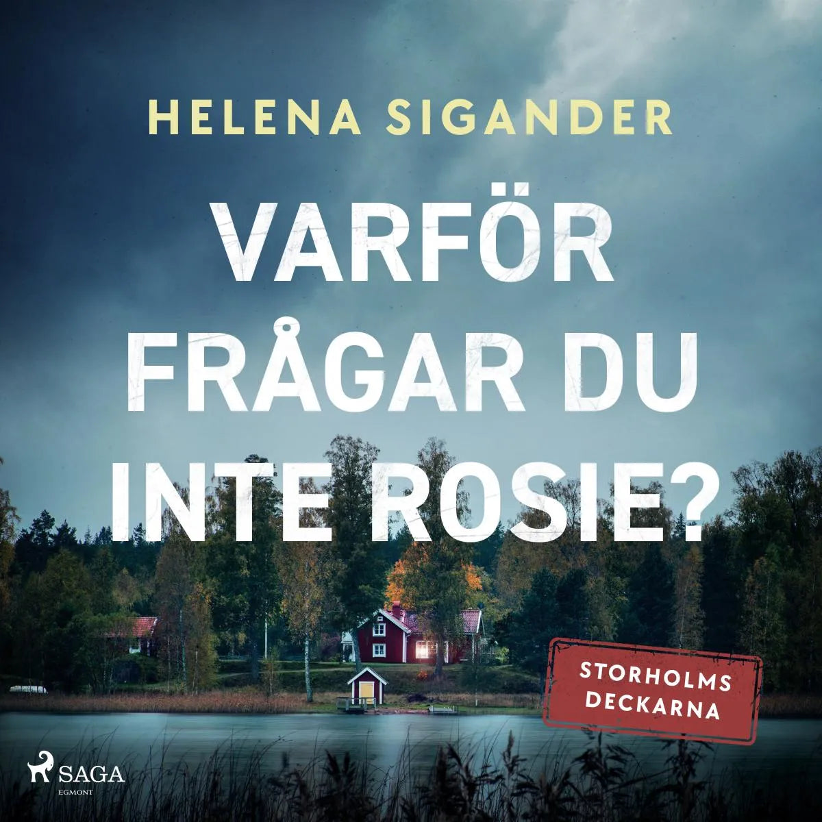 Cover: Varför frågar du inte Rosie? (Hörbuch Download) von Helena Sigander
