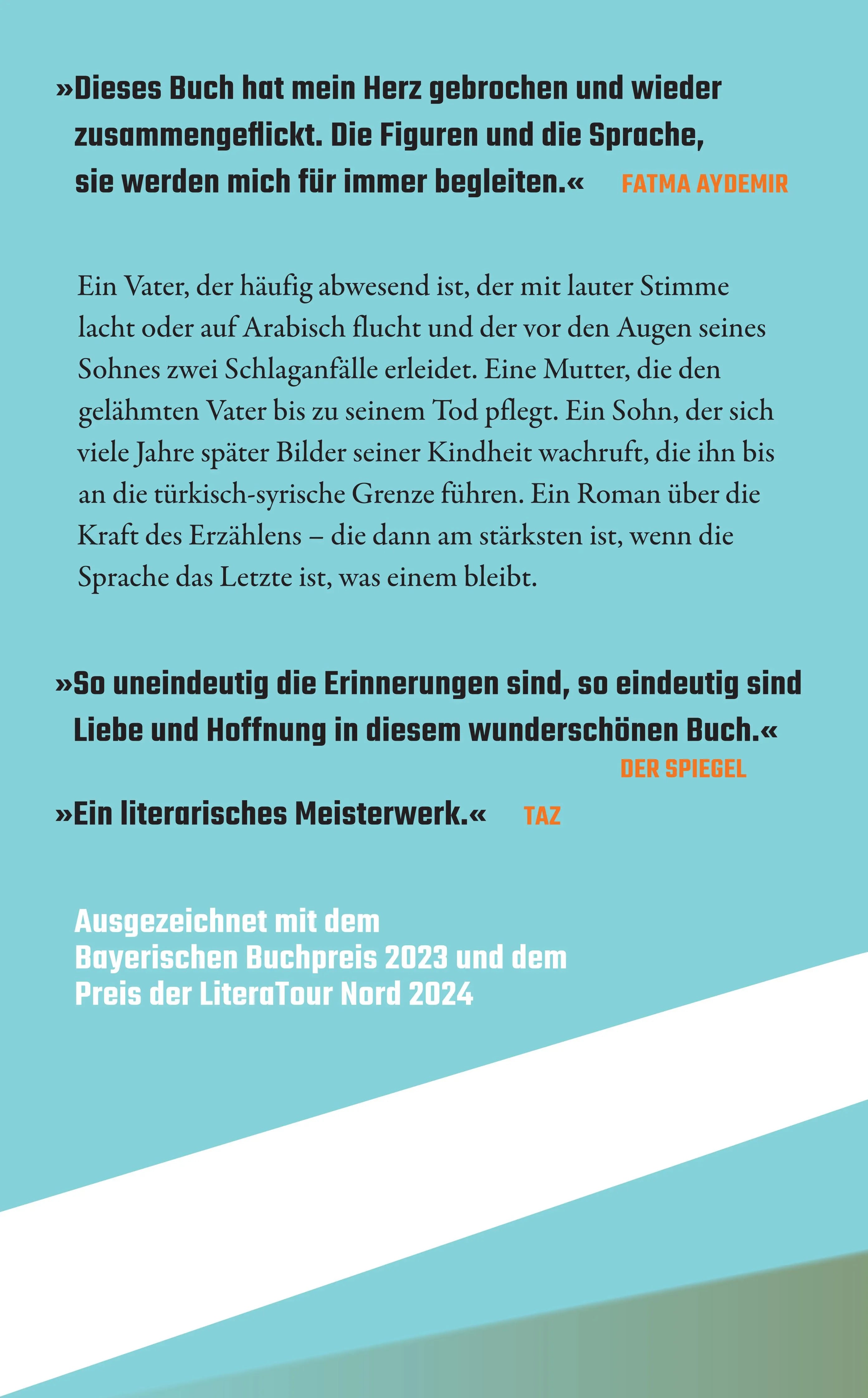 Buchrückseite von 'Vaters Meer' mit Klappentext - Taschenbuch