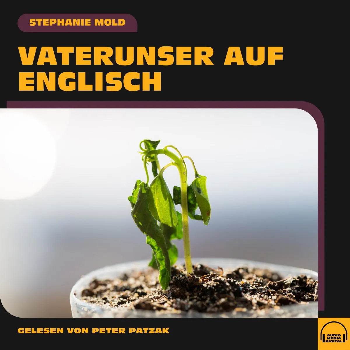 Cover: Vaterunser auf Englisch (Hörbuch Download) von Stephanie Mold