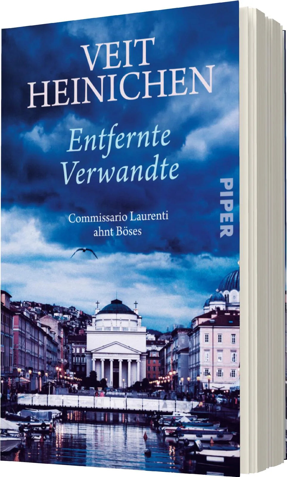 Produktansicht: Entfernte Verwandte (Taschenbuch)