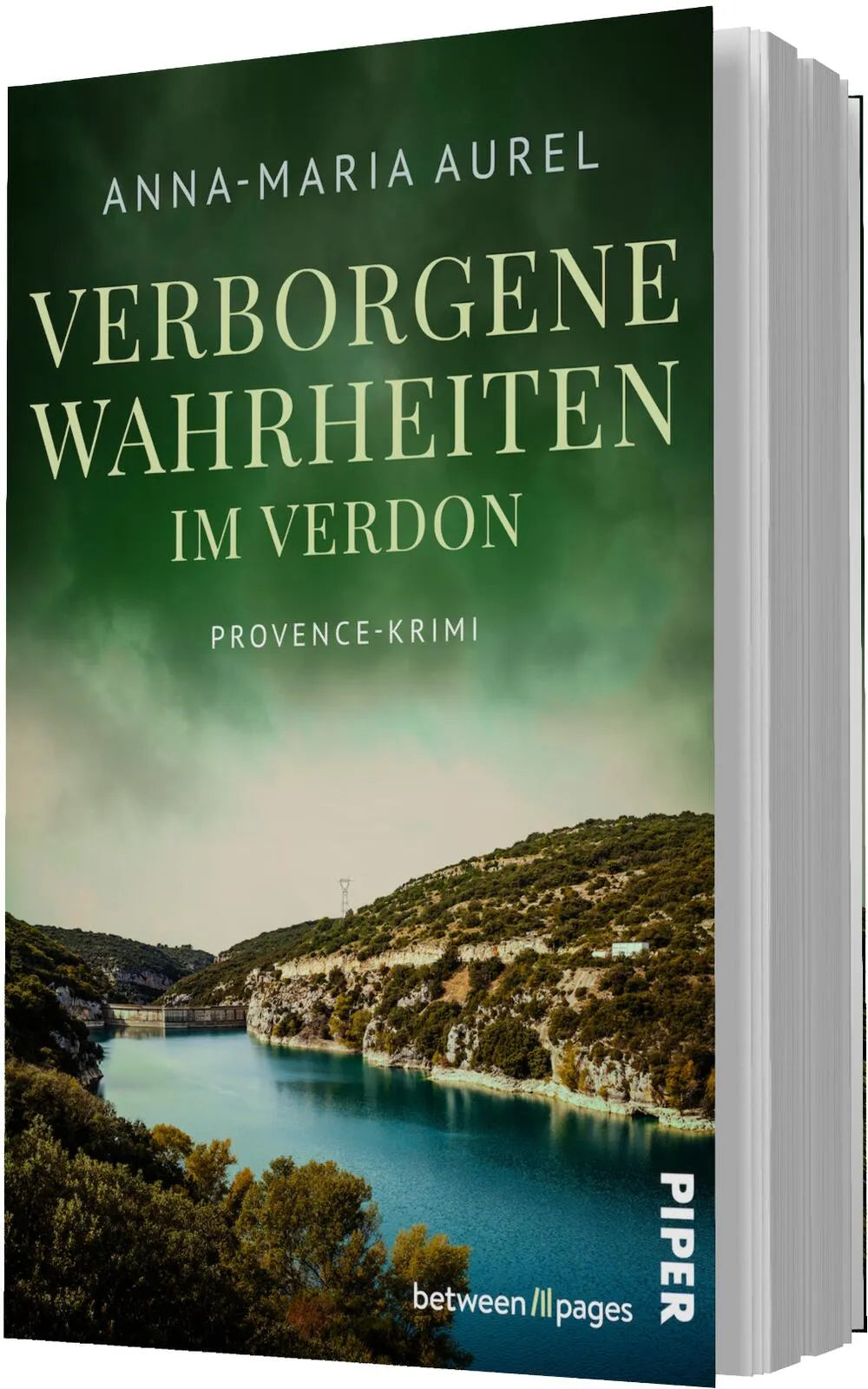 Detailansicht: Verborgene Wahrheiten im Verdon (Taschenbuch)