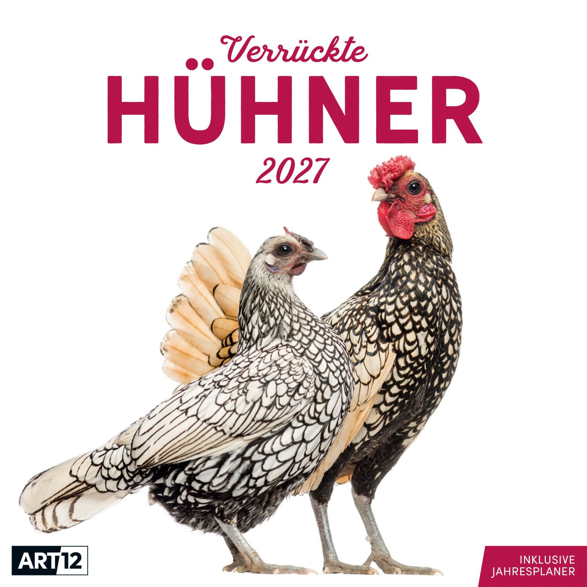 Wandkalender: Verrückte Hühner Kalender 2027 - 30x30 - Art12