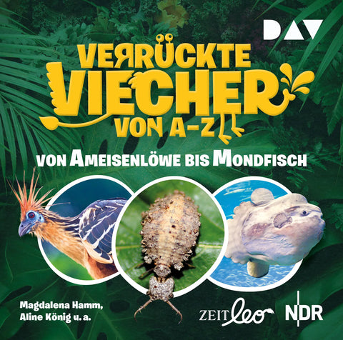 Verrückte Viecher von A bis Z – Teil 1: Von Ameisenlöwe bis Mondfisch