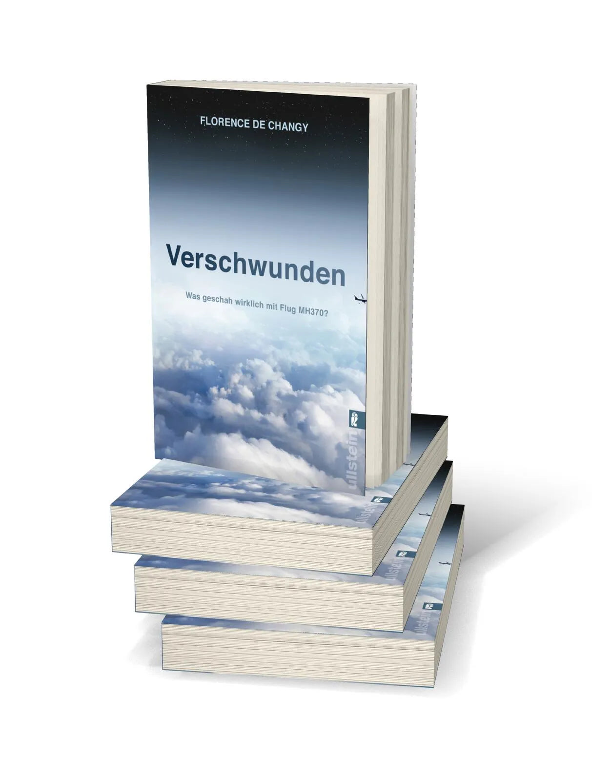 Abbildung von 'Verschwunden'