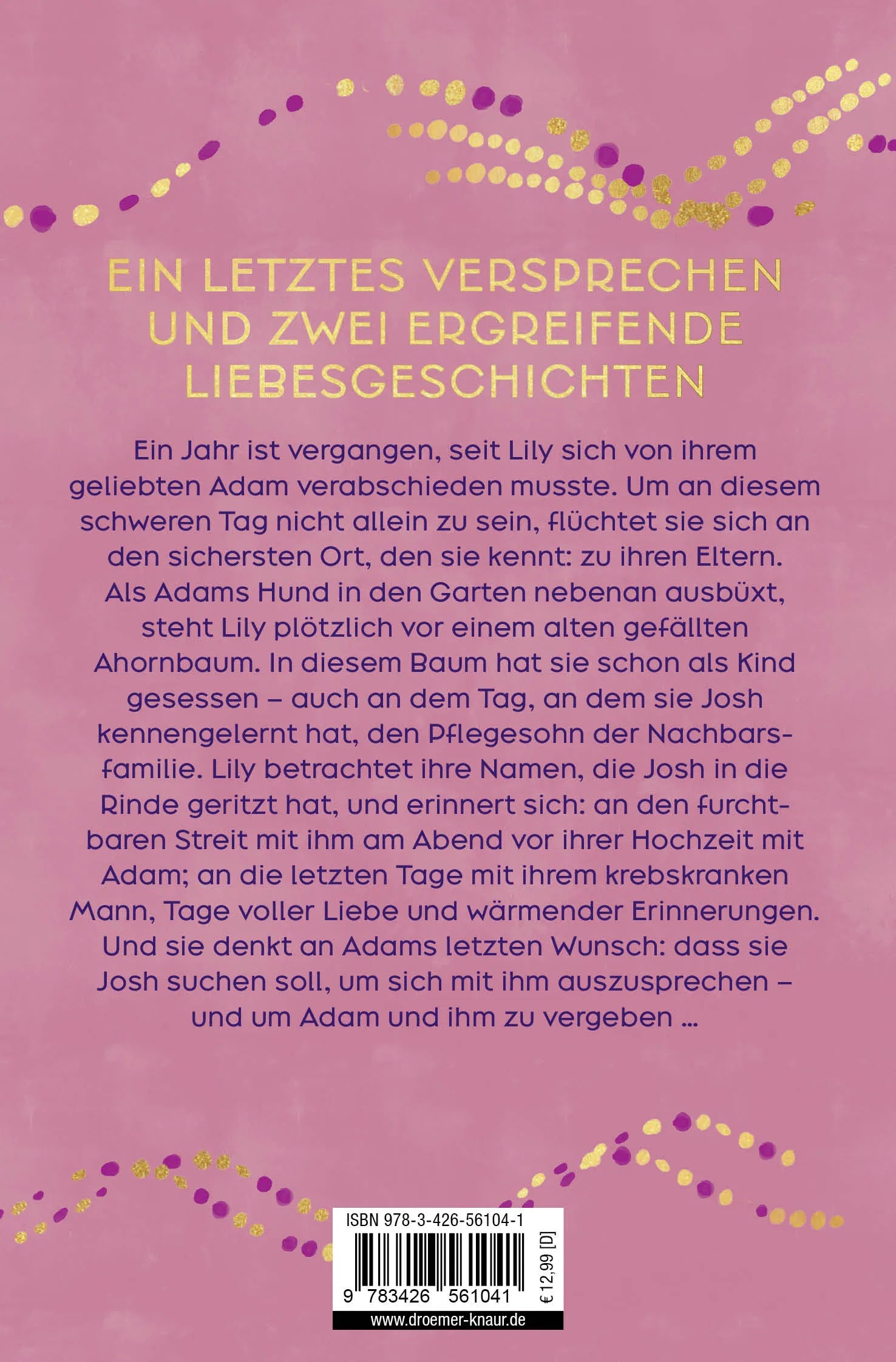 Buchrückseite von 'Versprich mir, dass du tanzt' mit Klappentext - Taschenbuch