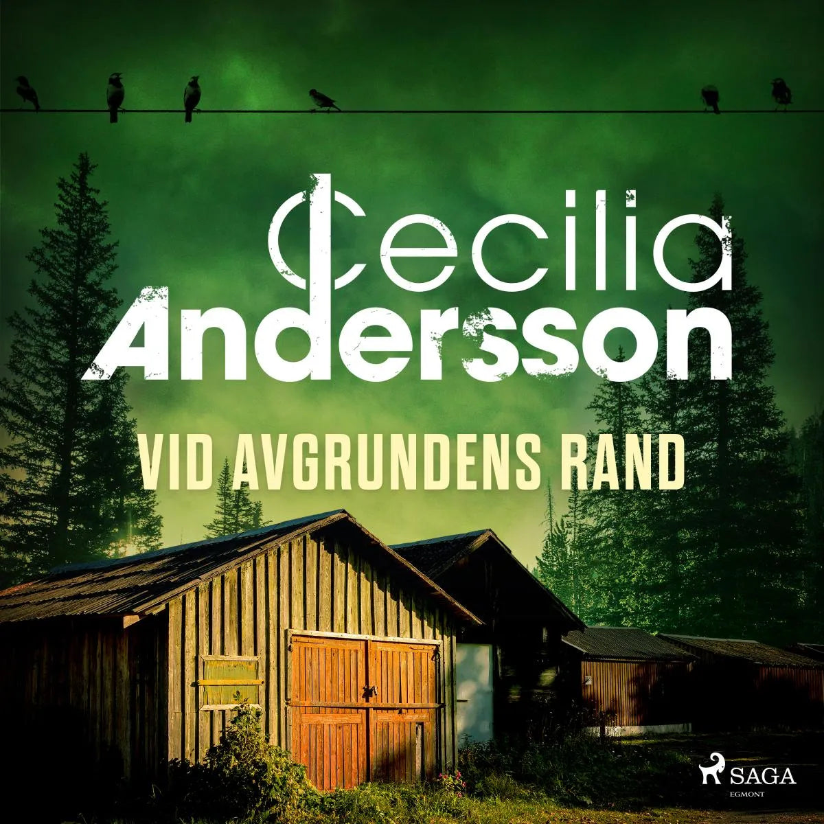 Cover: Vid avgrundens rand (Hörbuch Download) von Cecilia Andersson