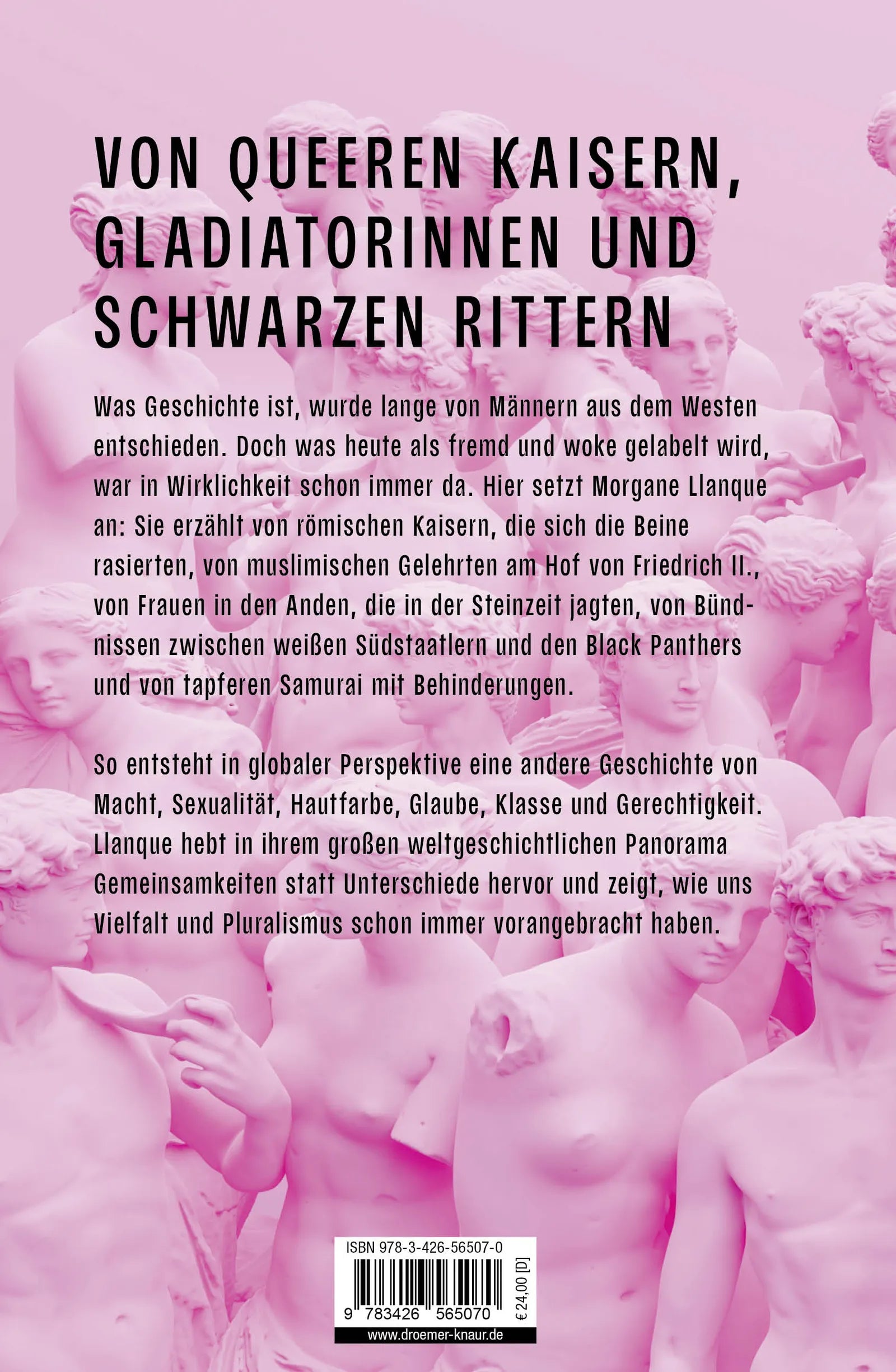 Buchrückseite von 'Vielfalt' mit Klappentext - Gebundene Ausgabe